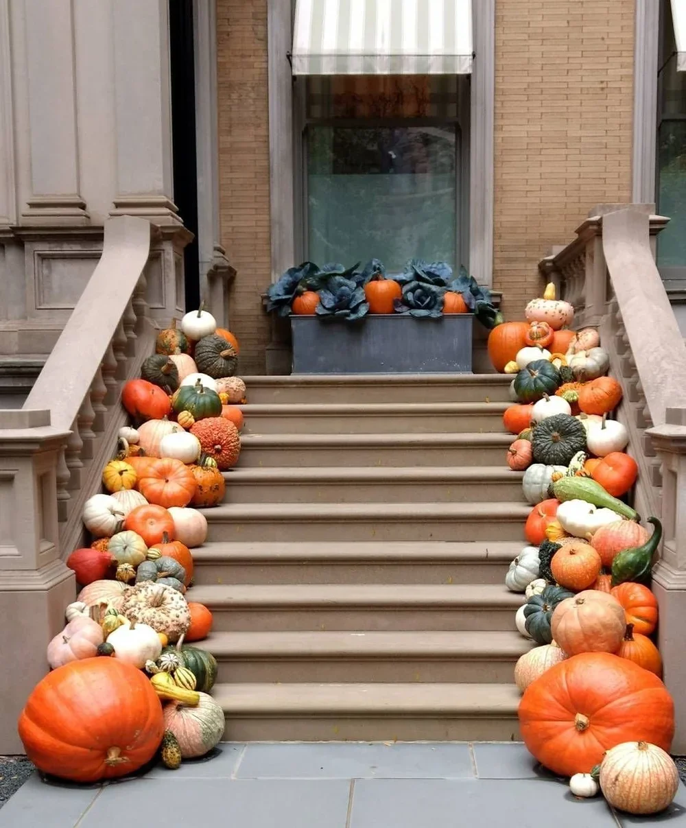 Fall decorative pumpkins and gourds arranged along the stairs of a front porch.