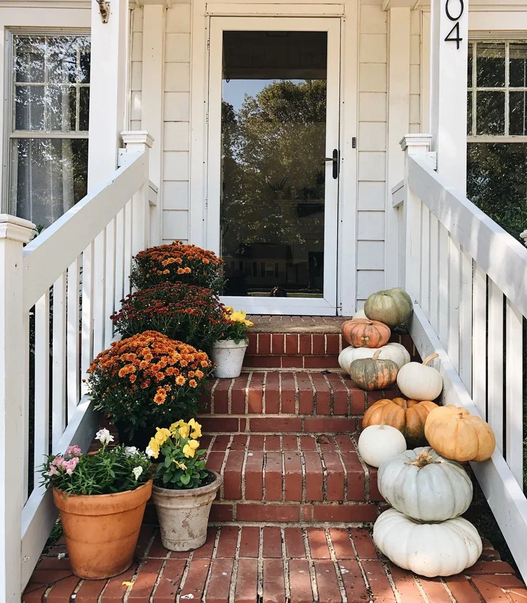 Front porch with red brick steps leading to a screen door and white siding. Potted orange and yellow chrysanthemums on the left, and assorted pumpkins in shades of white, green, and orange on the right.