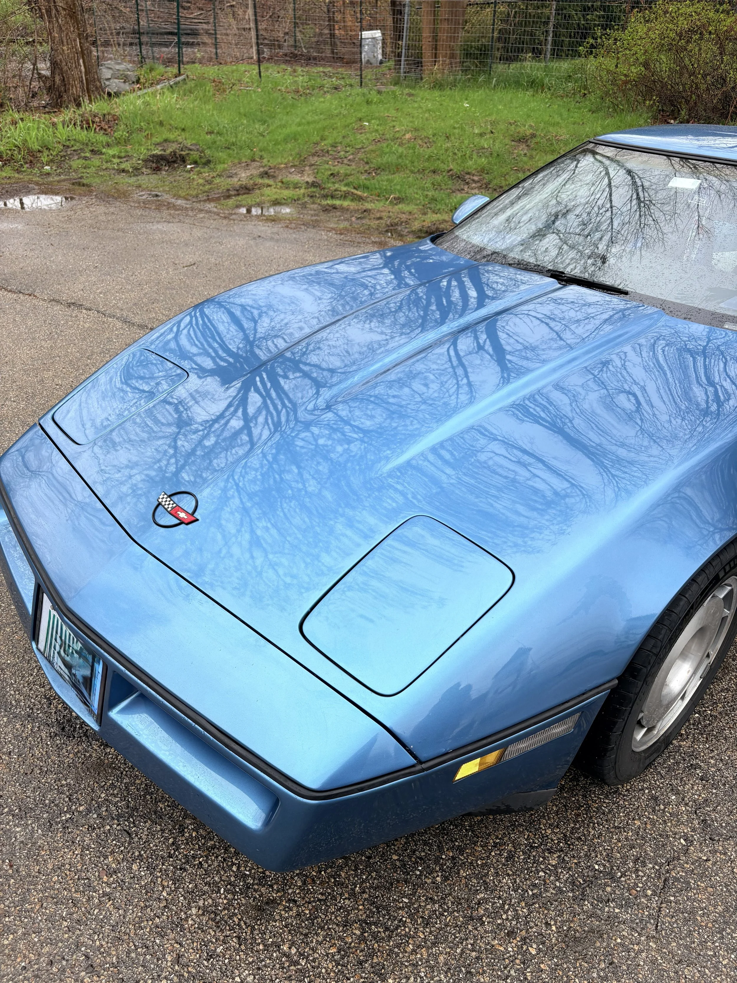 A blue Chevrolet Corvette sports car parked on a gravel driveway near a grassy area with trees and a fence, with reflections of tree branches visible on the car's hood and windshield.