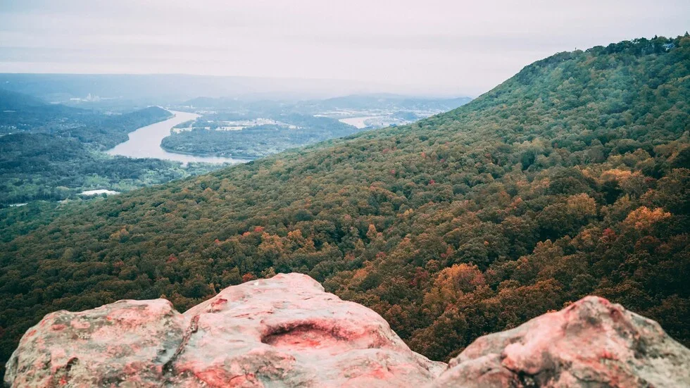 How to Contest a Will: A Guide for Families in Tennessee