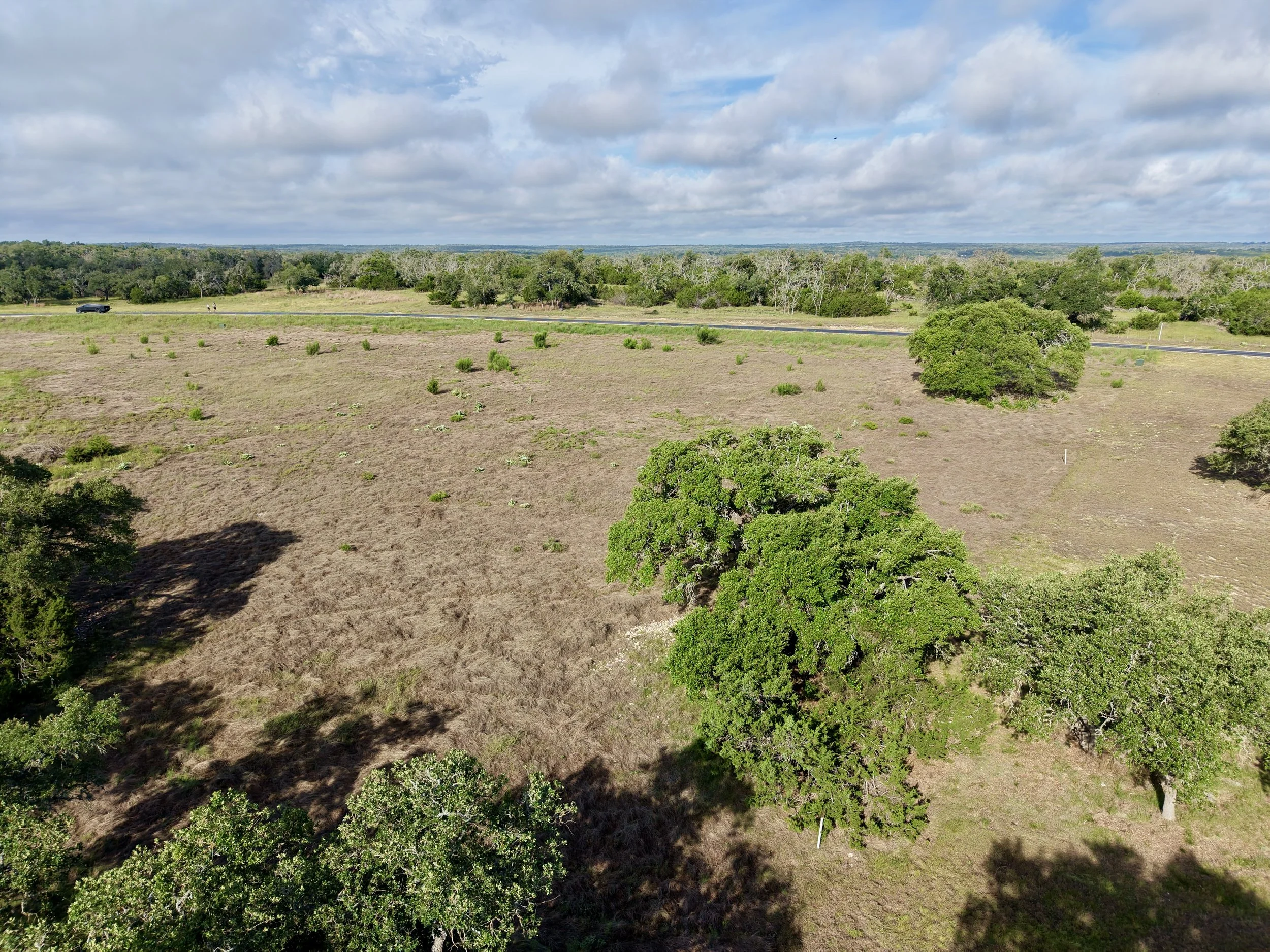 A landscape view of open land with sparse green bushes and trees, some shadowed, under a blue sky with scattered clouds.