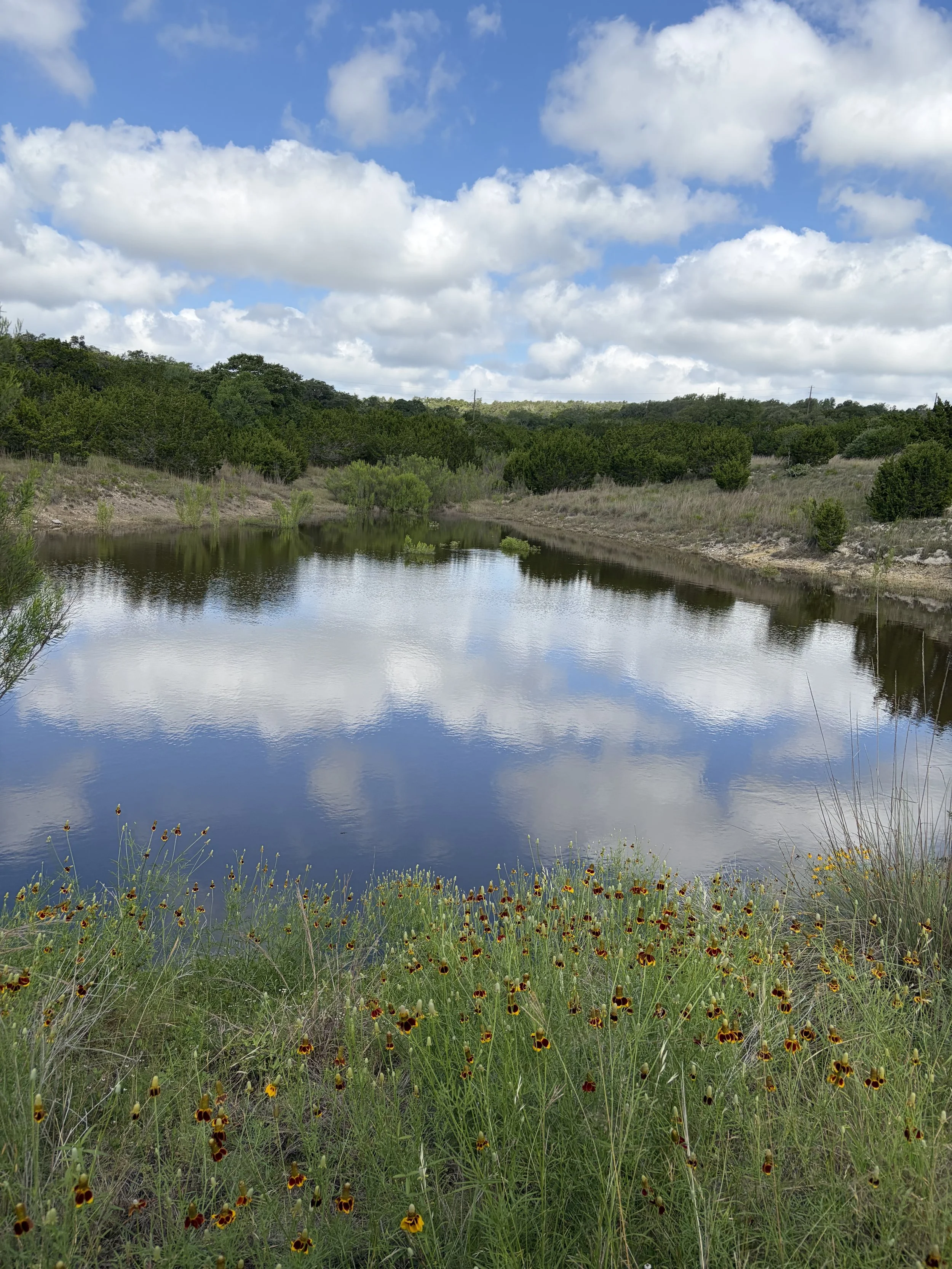 Land Sale in Texas Hill Country