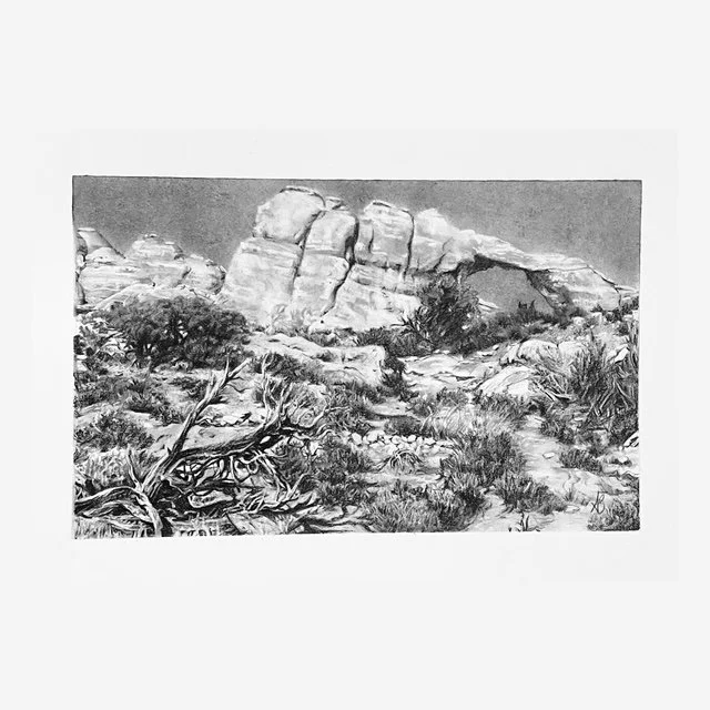 The Southern Utah Project