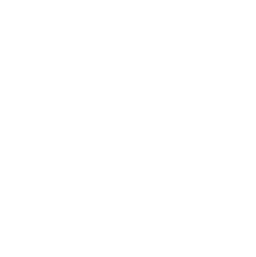 scales icon