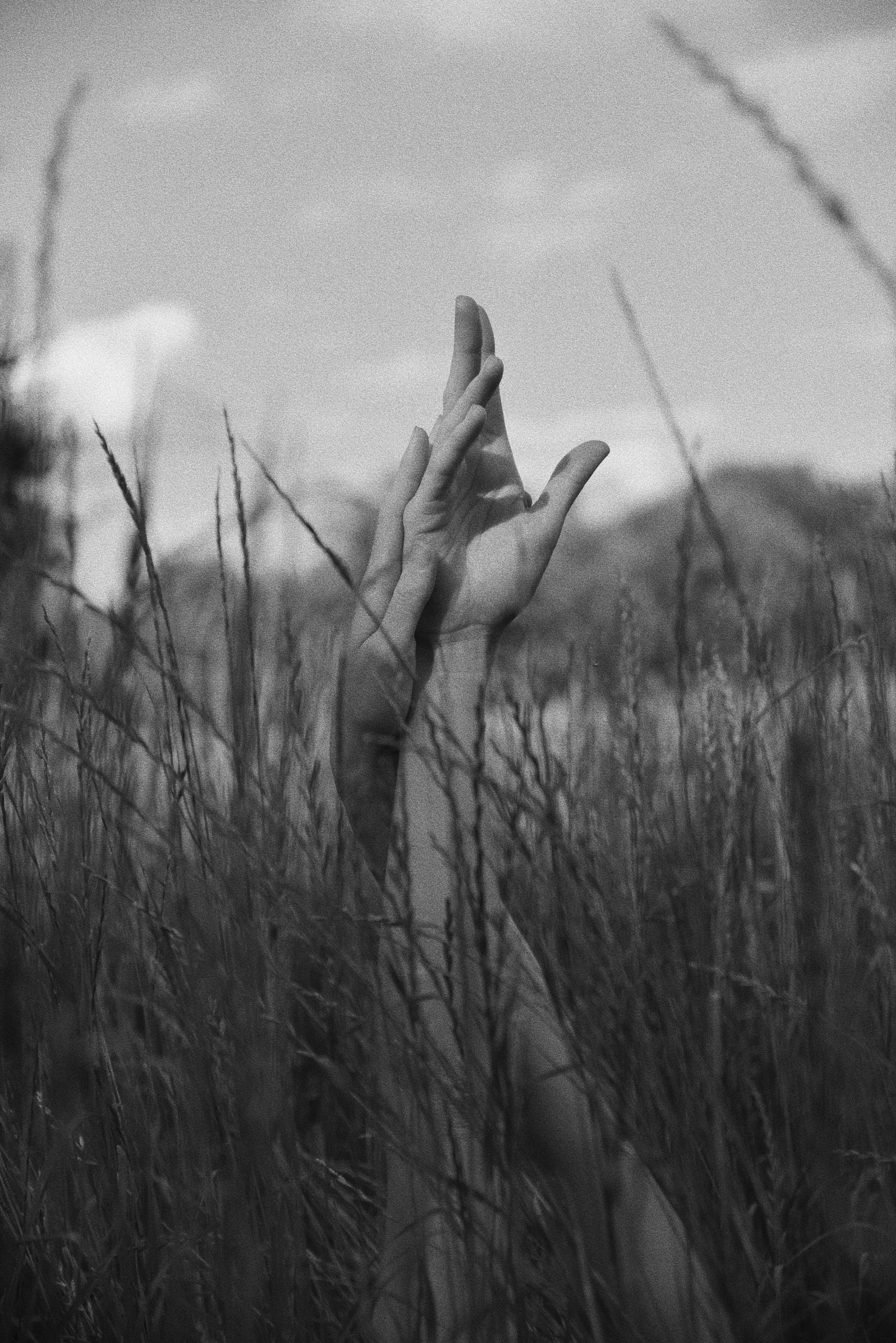 Schwarz-Weiß-Foto einer Hand, die aus hohem Gras ragt, im Himmel im Hintergrund, keine sichtbaren Gesichter oder Figuren, Naturaufnahme.