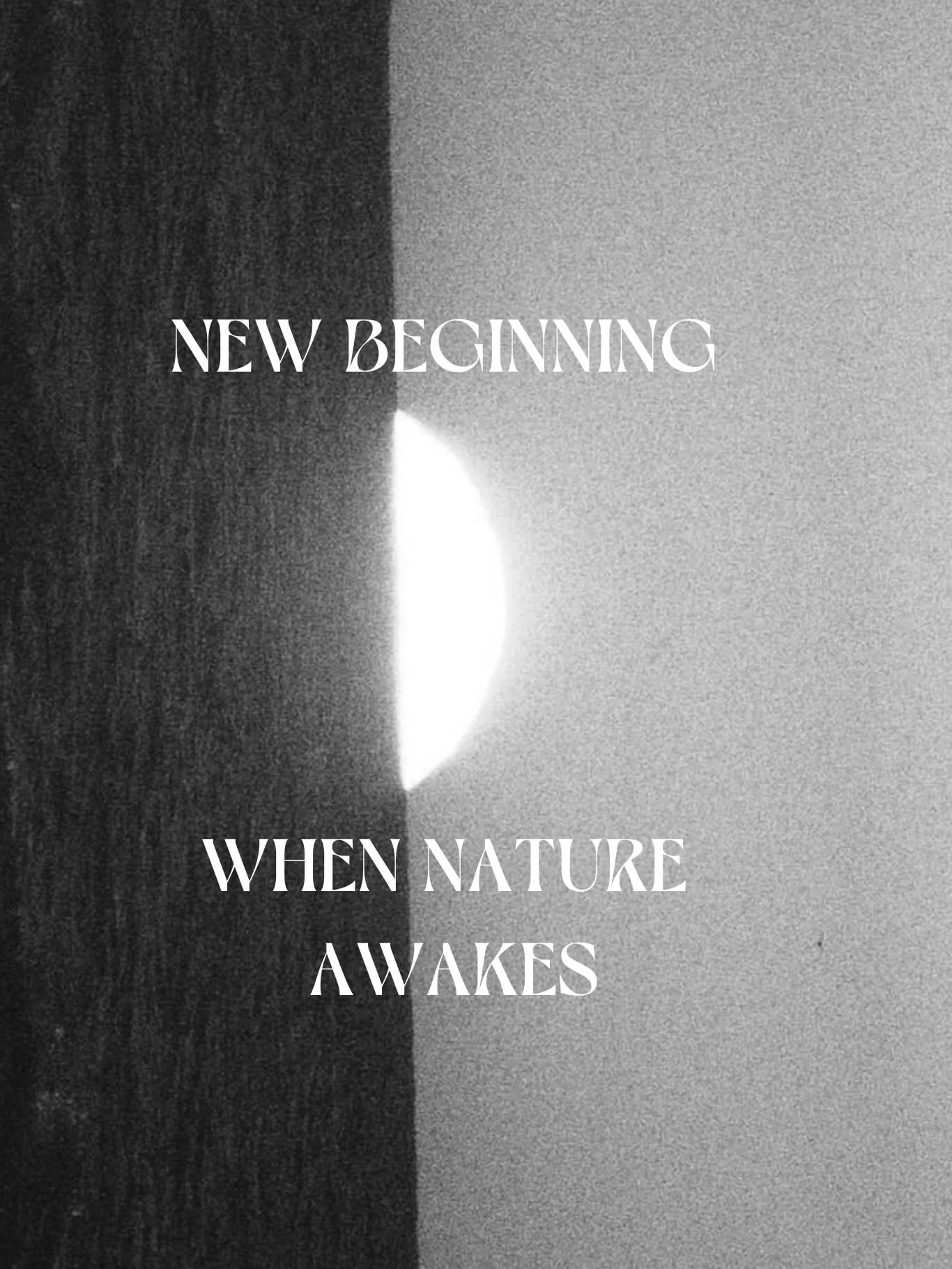 Bis dein Fr&uuml;hling kommt. 🌱

#RAWsenses #zykluswissen #zykluscoach #neubeginn #achtsamleben