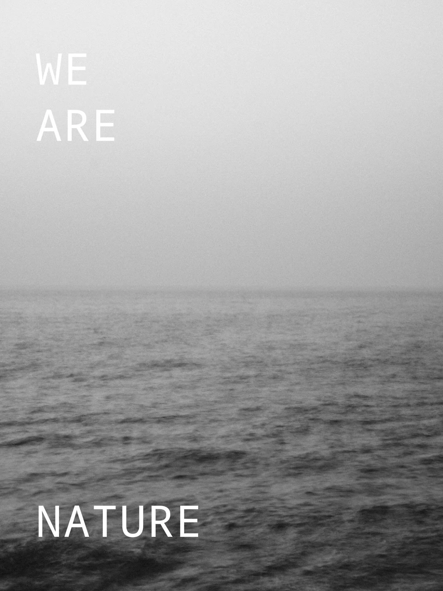 Wir sind Natur. Wir sind zyklisch.
So wie die Erde ihre Jahreszeiten durchlebt und der Mond sich in Phasen wandelt, so tr&auml;gt auch der menschliche K&ouml;rper seinen eigenen Rhythmus in sich.

Wir sind nicht dazu bestimmt, jeden Tag gleich zu sei