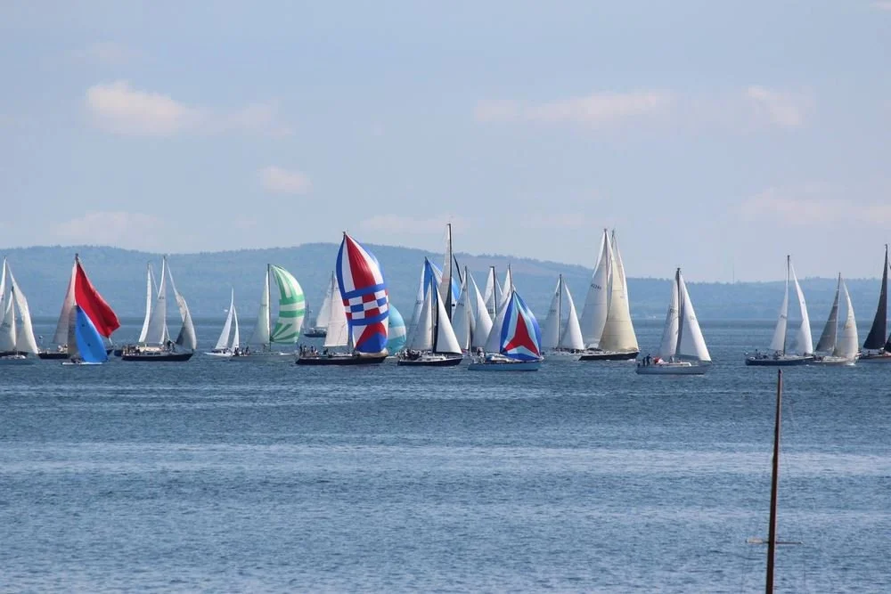 Multiple sailboats with colorful sails on a calm body of water, with a distant shoreline and cloudy sky.