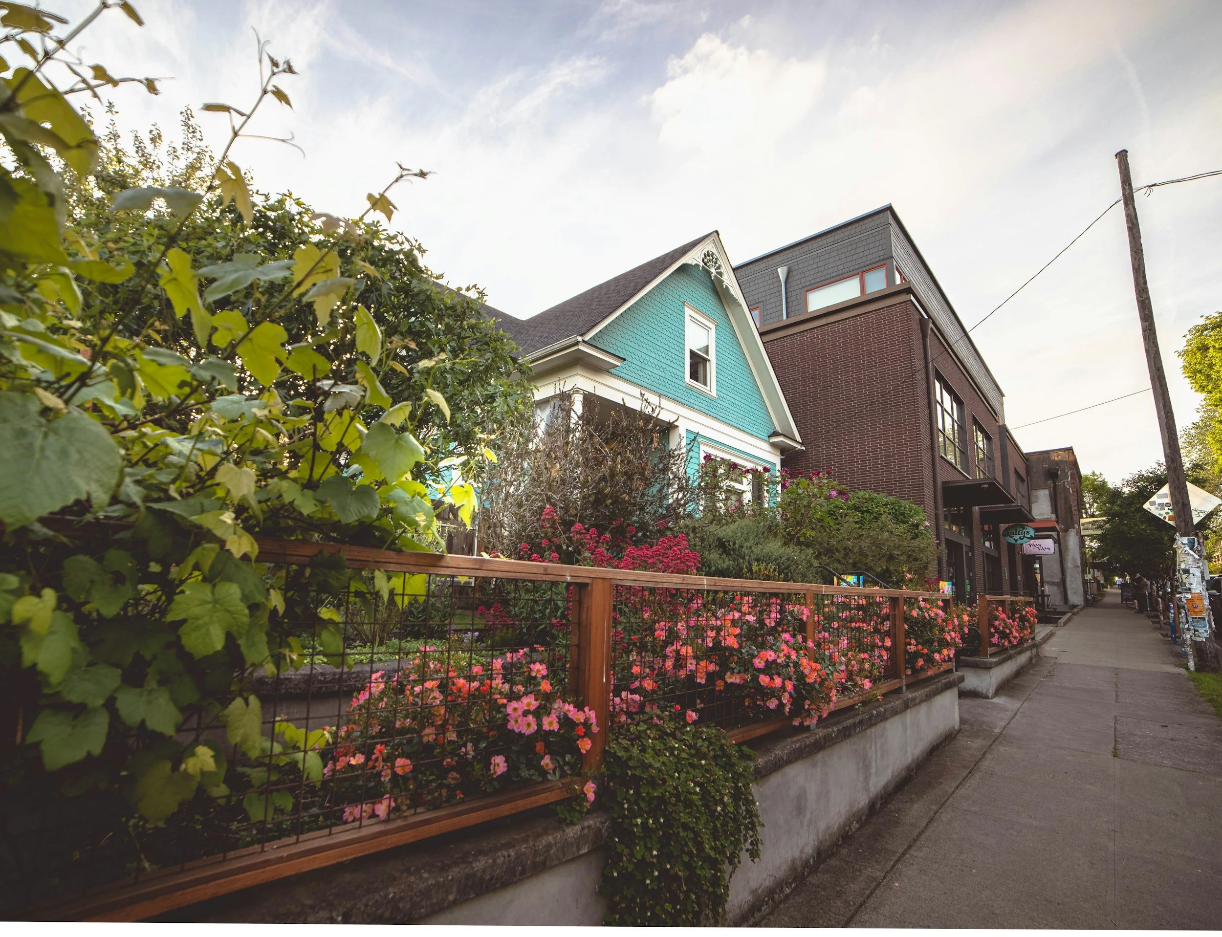 View of residential street with a turquoise house, a red brick building, and a garden with pink flowers and greenery, along with a sidewalk and utility pole.