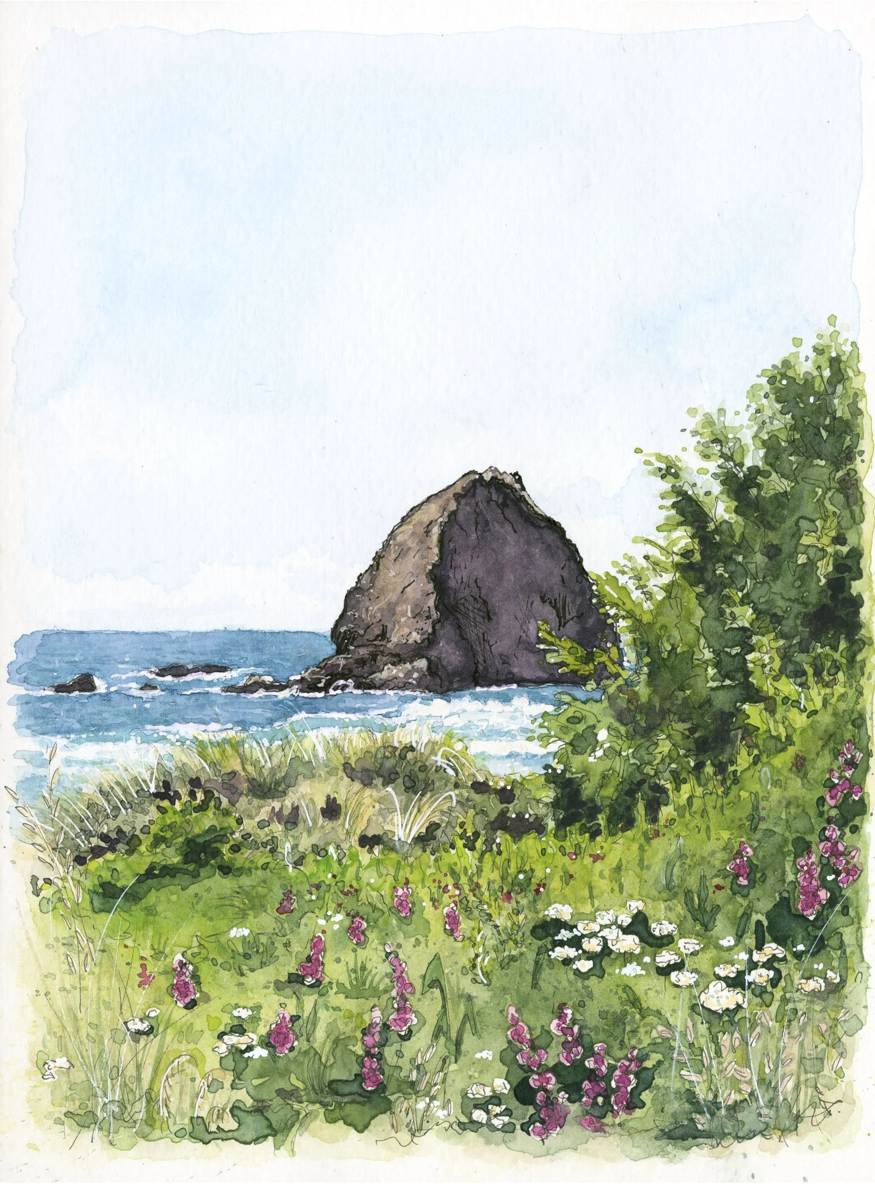 Wild Coast