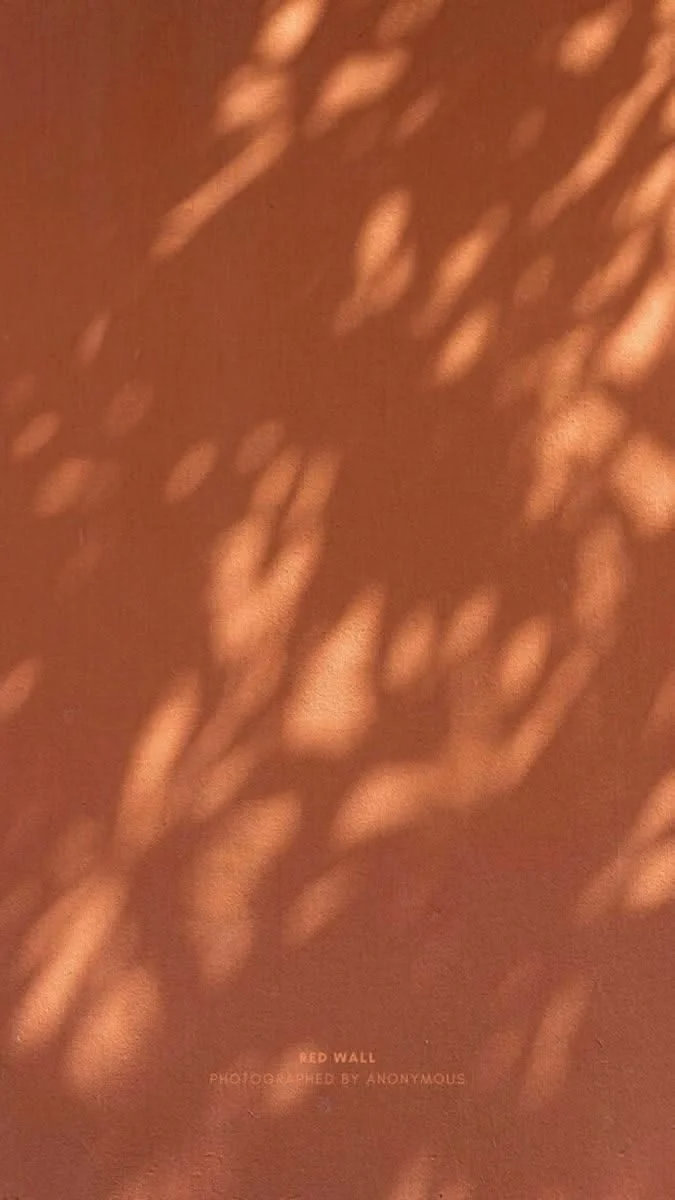 Shadow of leaves cast on a reddish-brown wall with the text 'RED WALL Photographed by Anonymous' at the bottom.