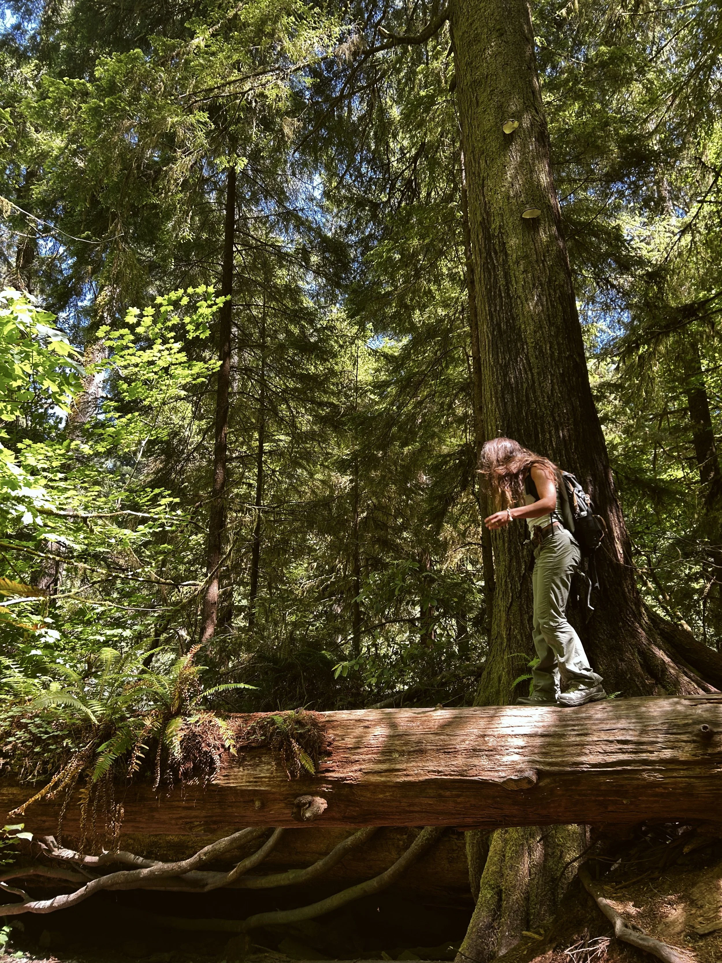 A person with long hair and a backpack standing next to a large tree in a dense forest with lush green foliage and a fallen log in the foreground.