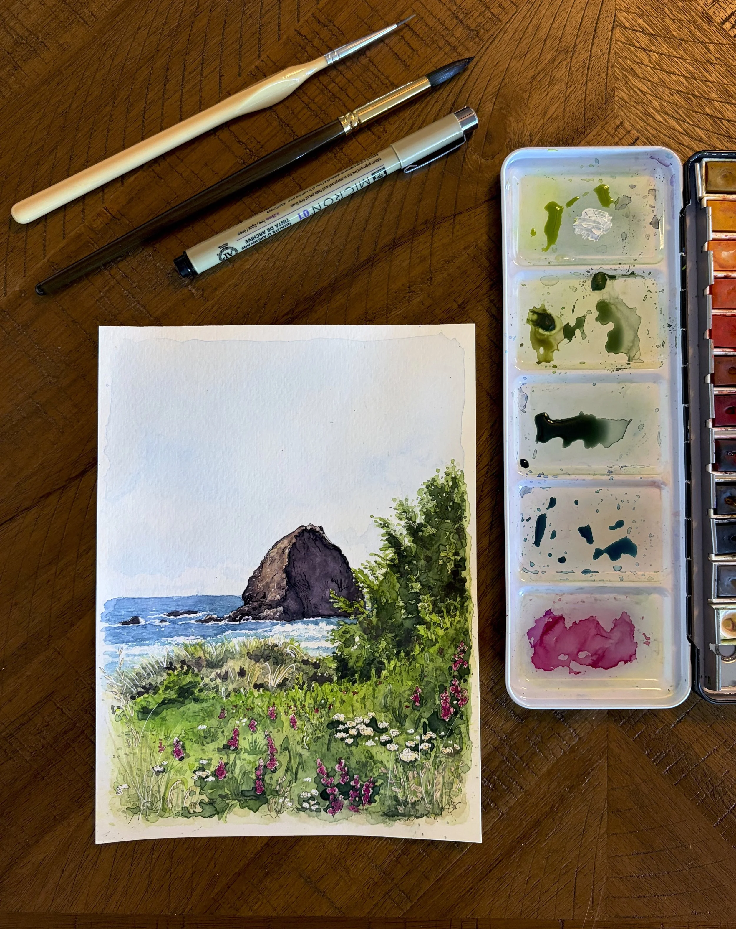 Wild Coast.jpg