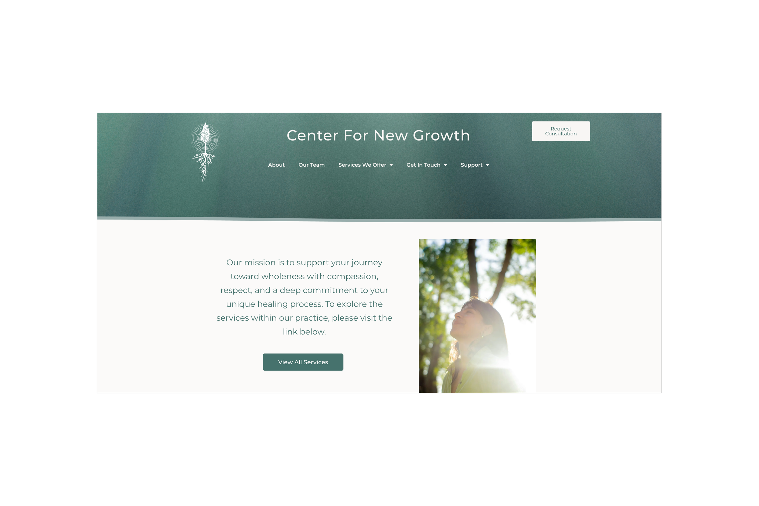 Center For New Growth Website