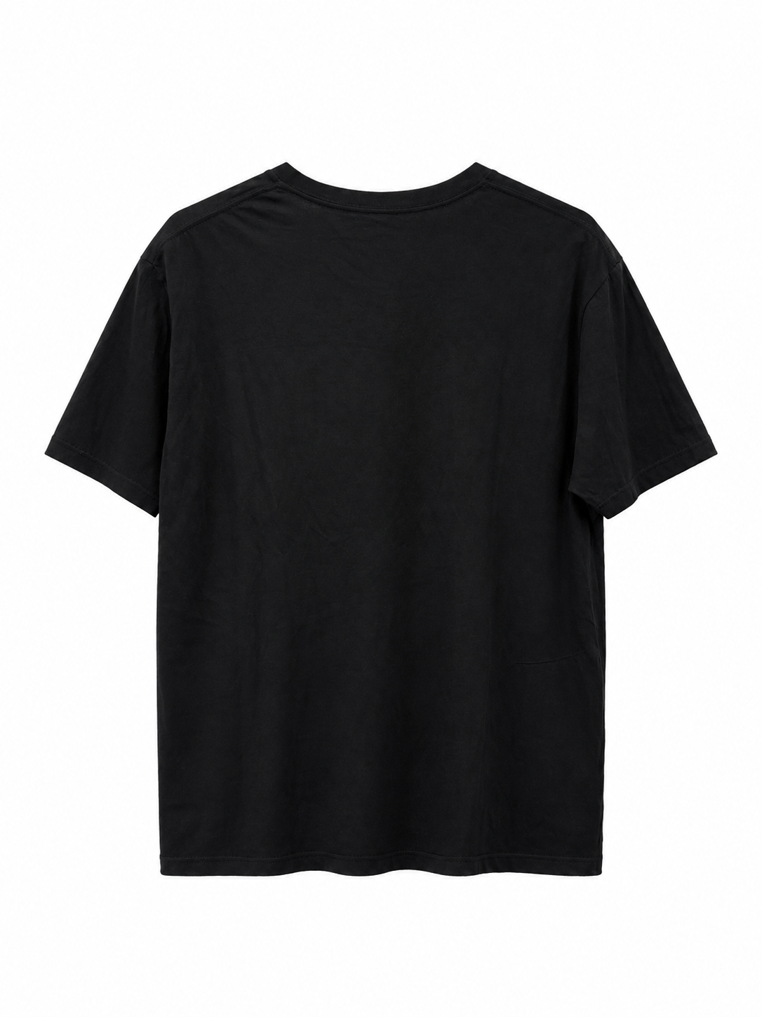 capitol steezy tshirt 2.png