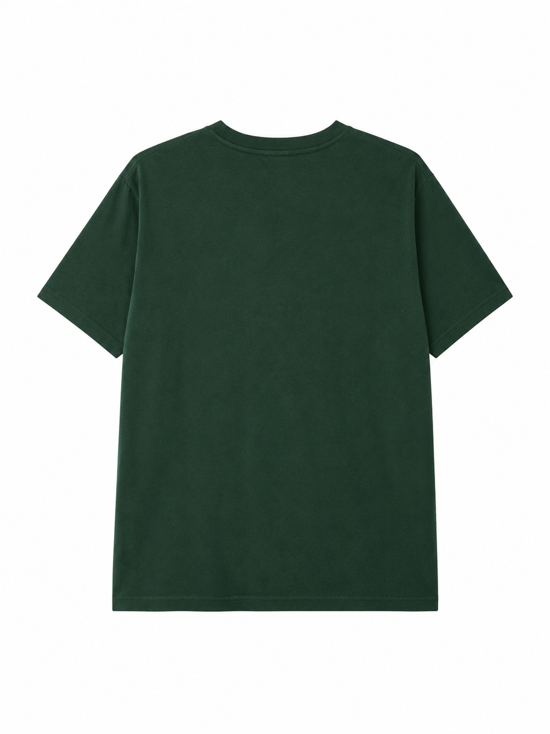 miami hurricane shirt 2.png