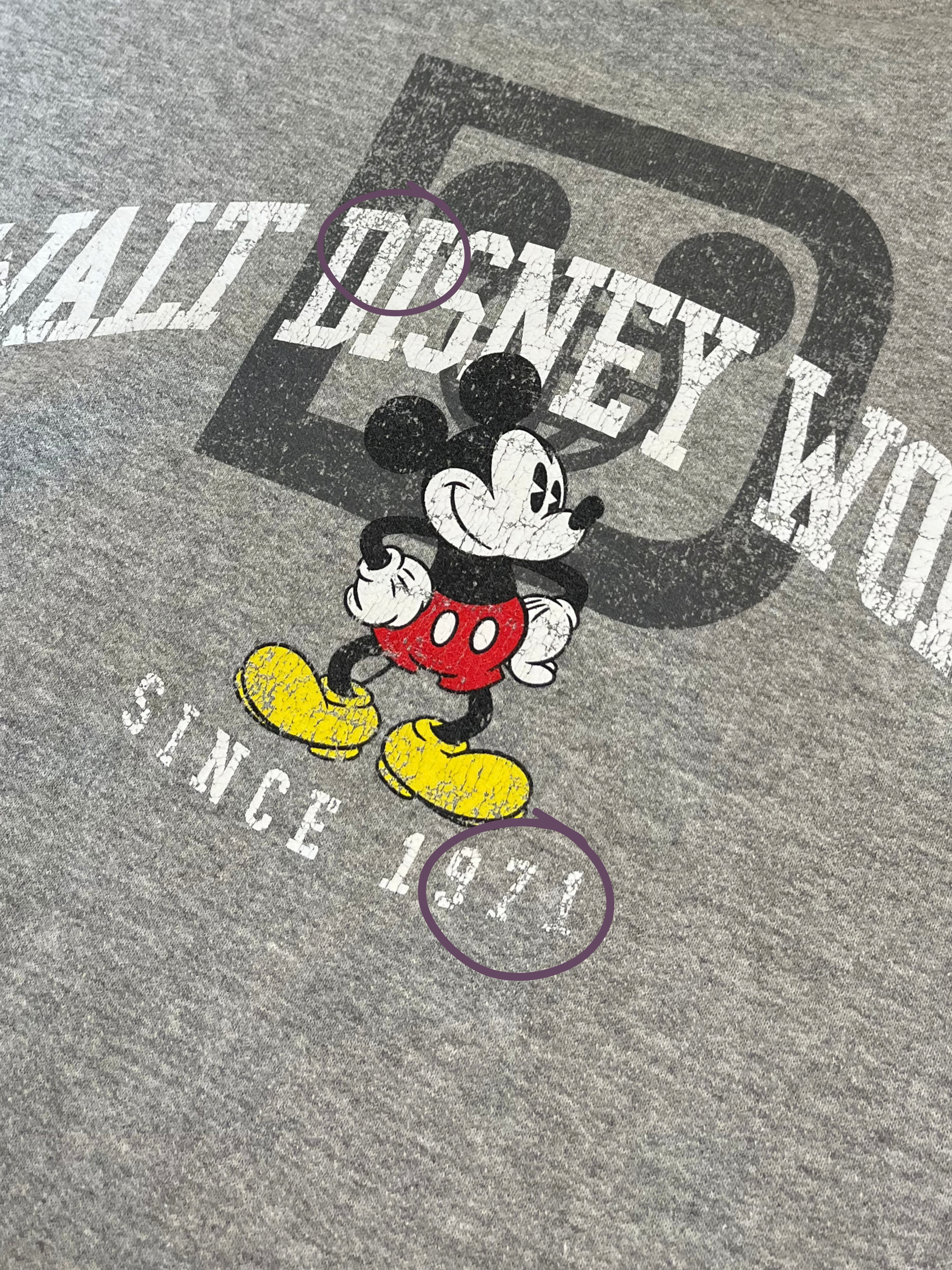 walt disney world sweater.png