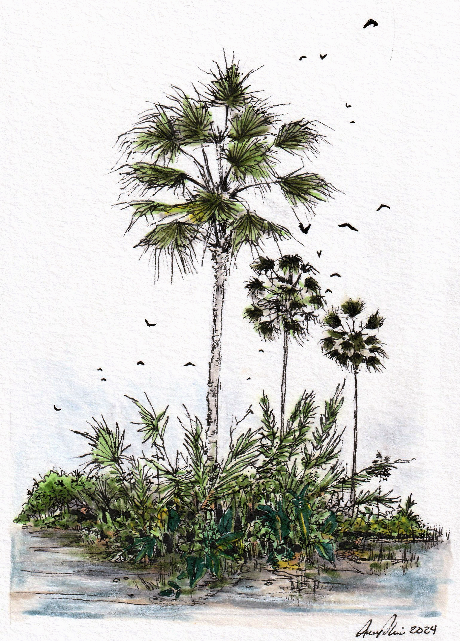 Bay Birds - Florida State