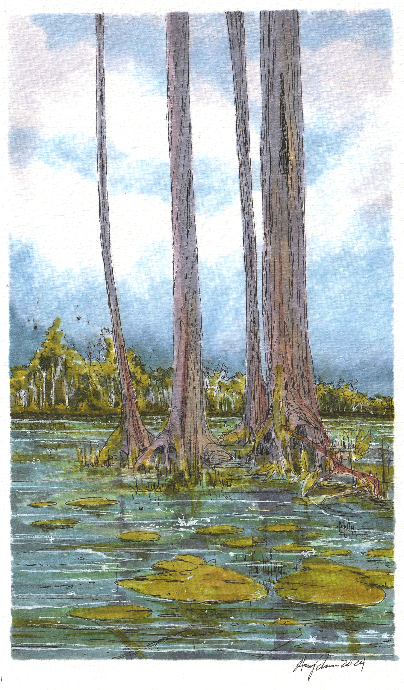 Swamp - Georgia State
