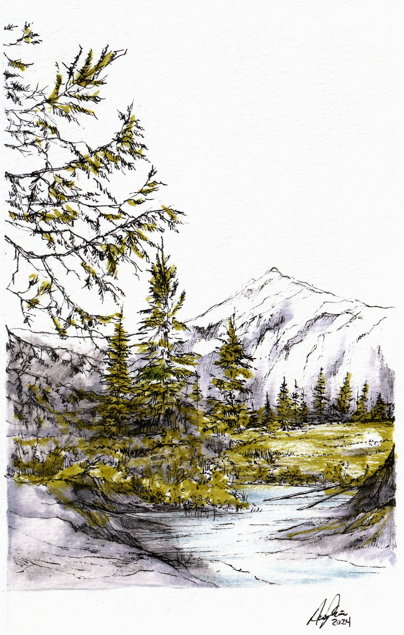 Some Trees - Alaska State
