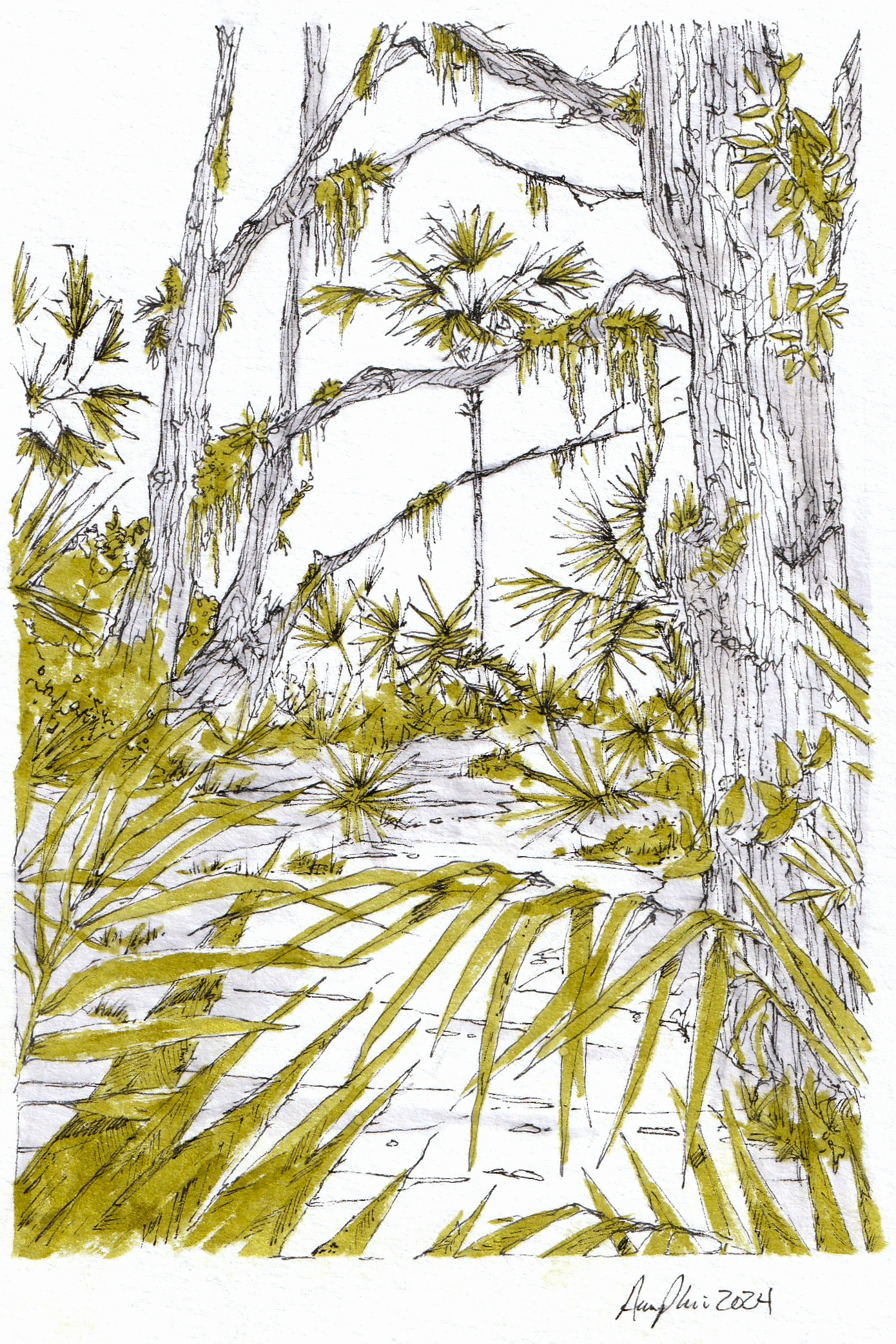 Swamp - Florida State