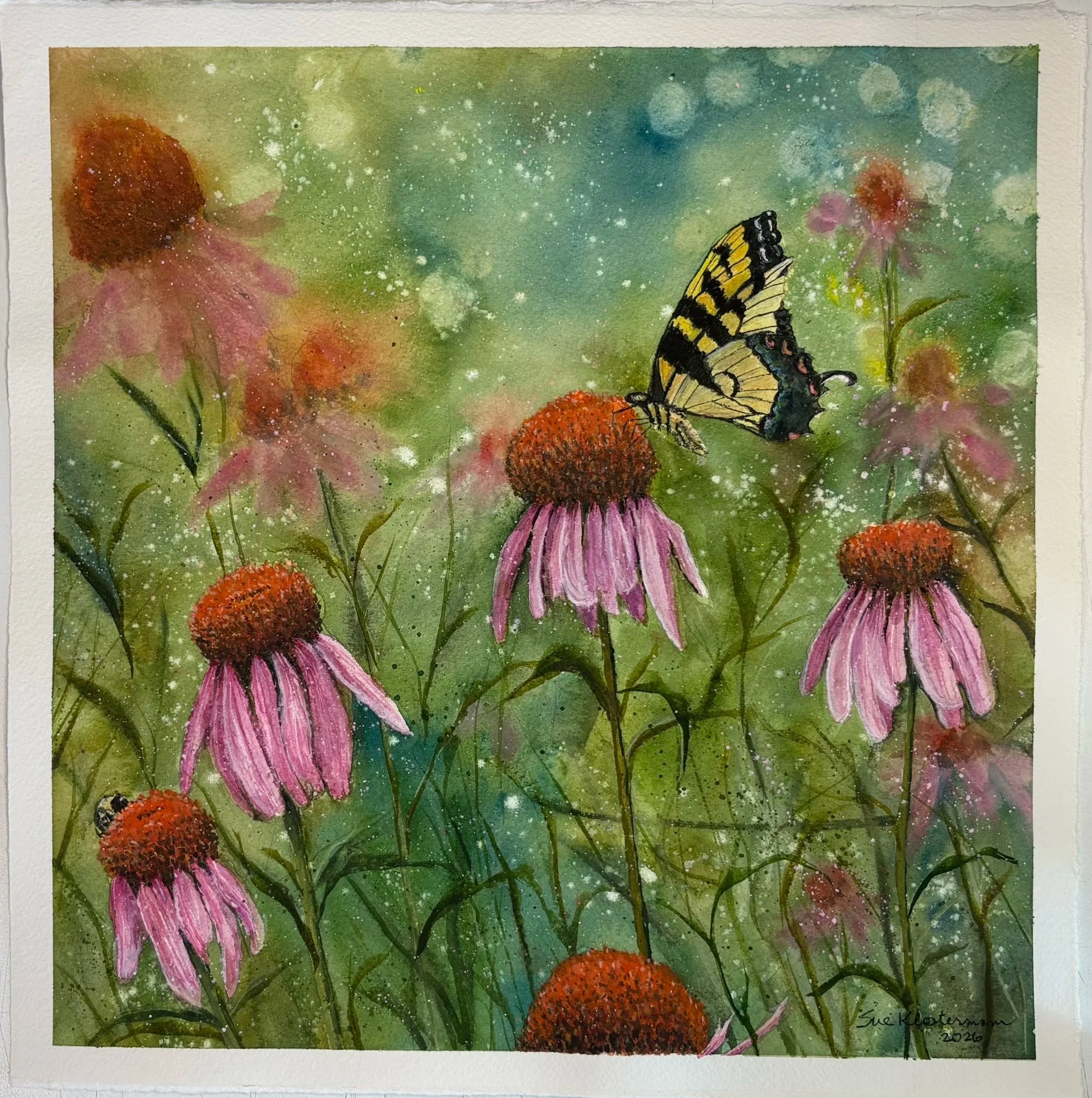 "Papilio Gaucus"
image size 11" x 11"