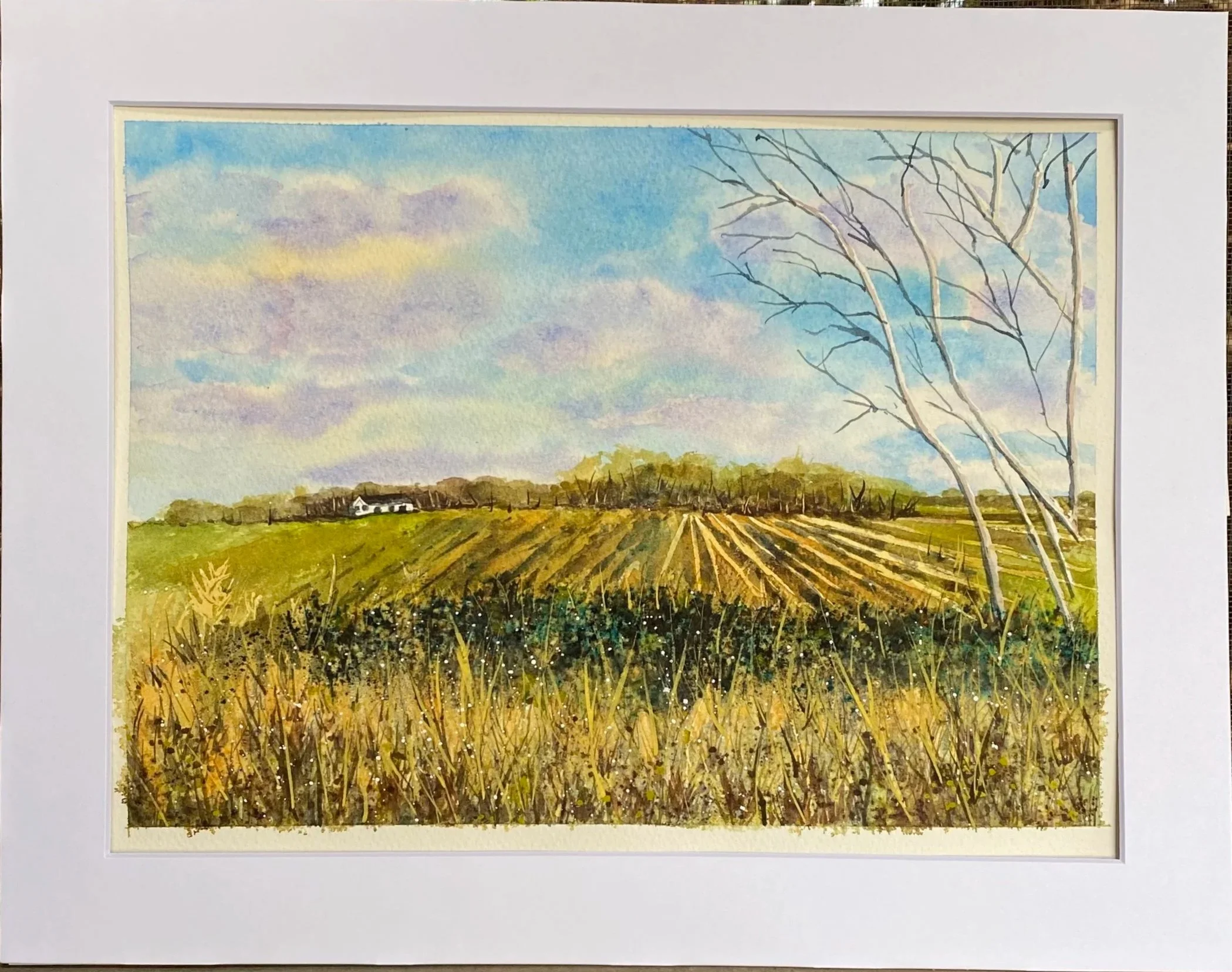 "After the Harvest"
matted, image size 12" x 9"