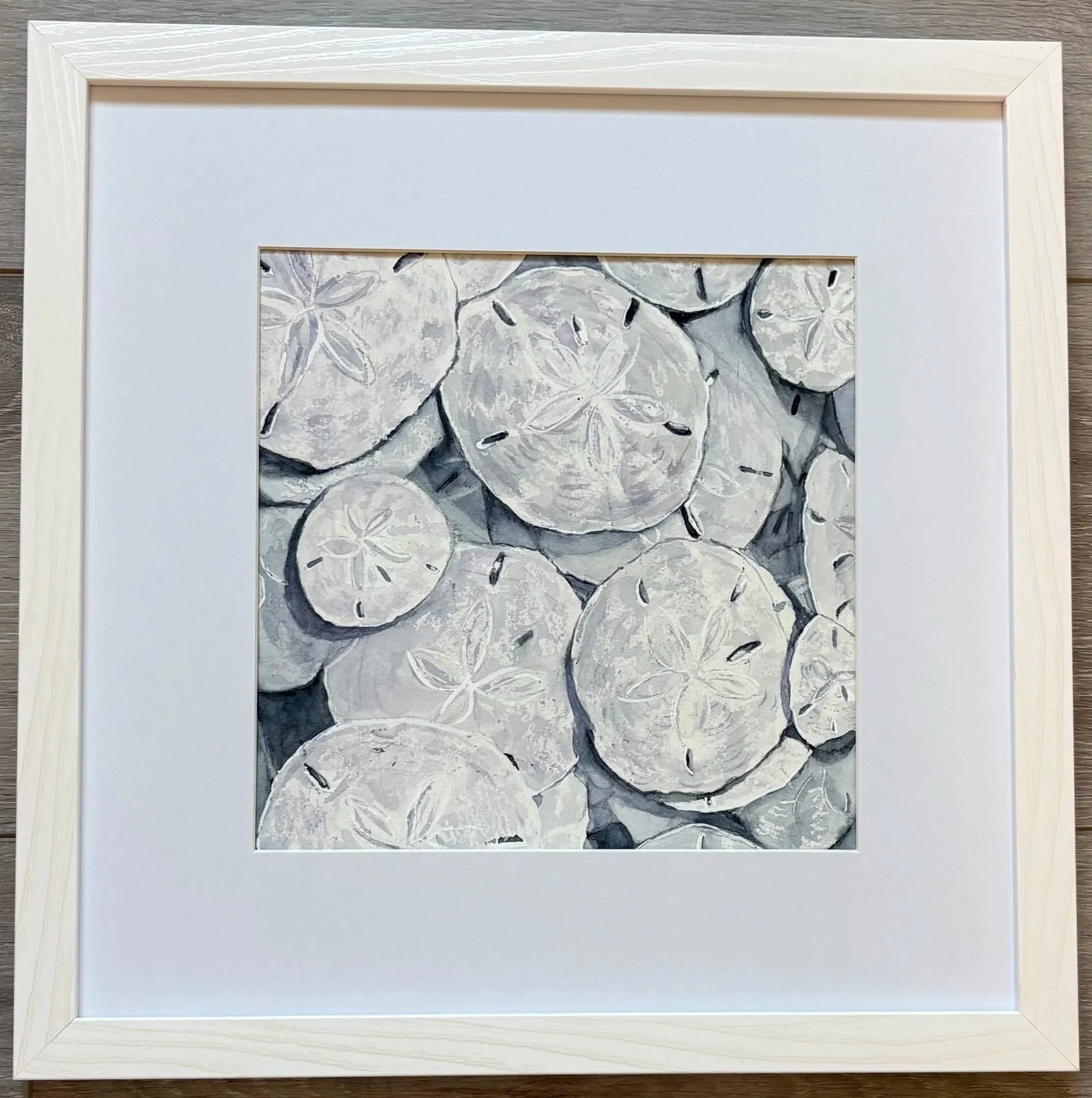 "Sand dollars"
matted and framed, 
image size is 7.5" x 7.5" 