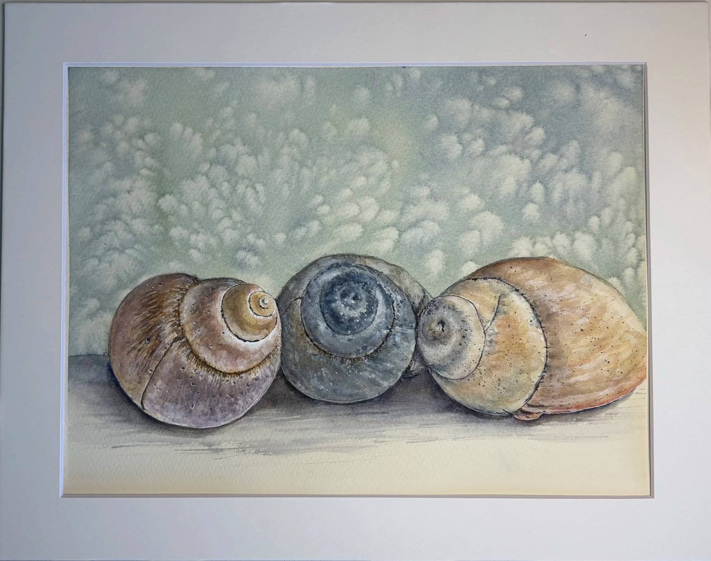 "Shell Trio"
matted, image size 12" x 9" 
