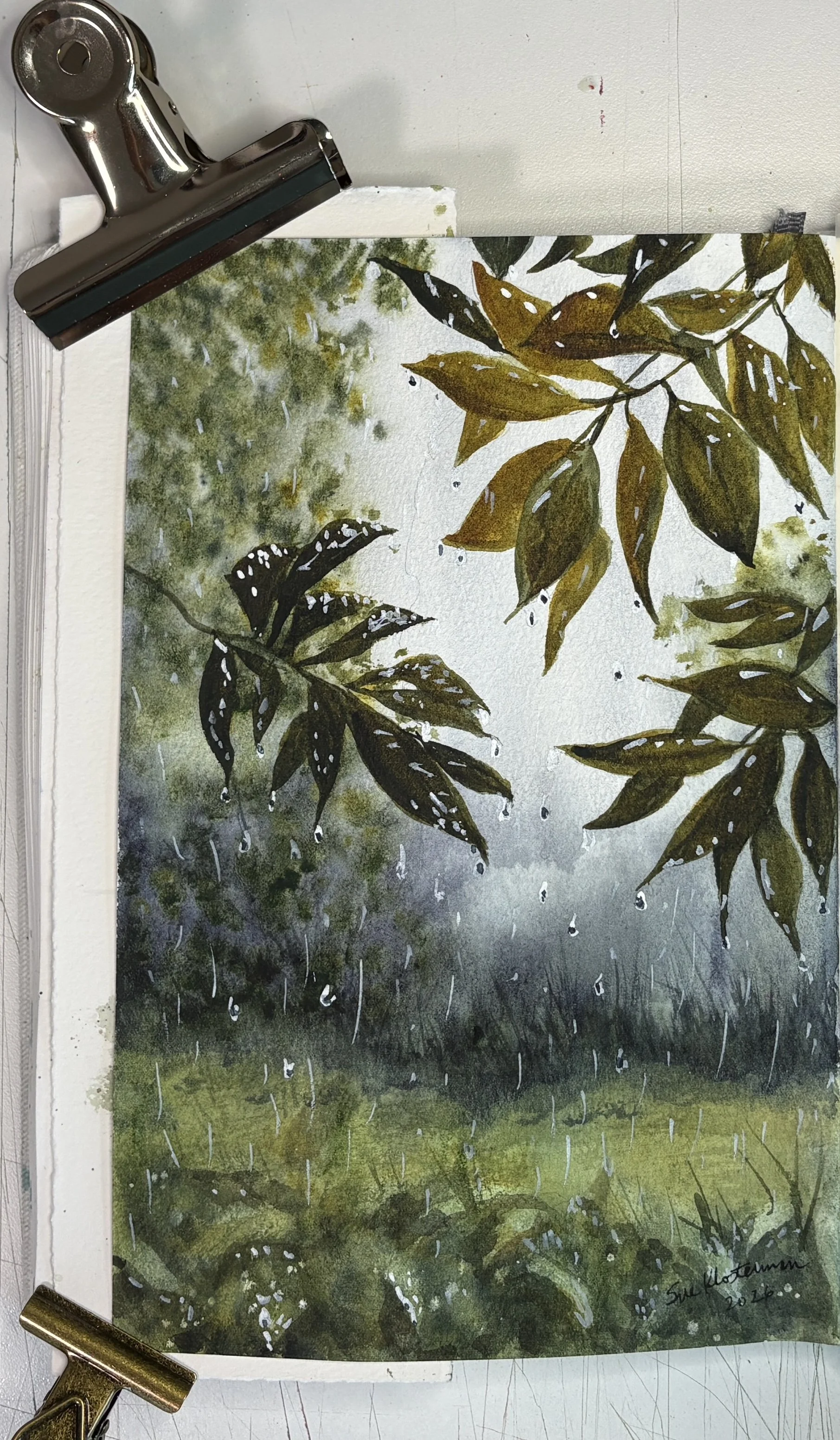 Summer Storm
