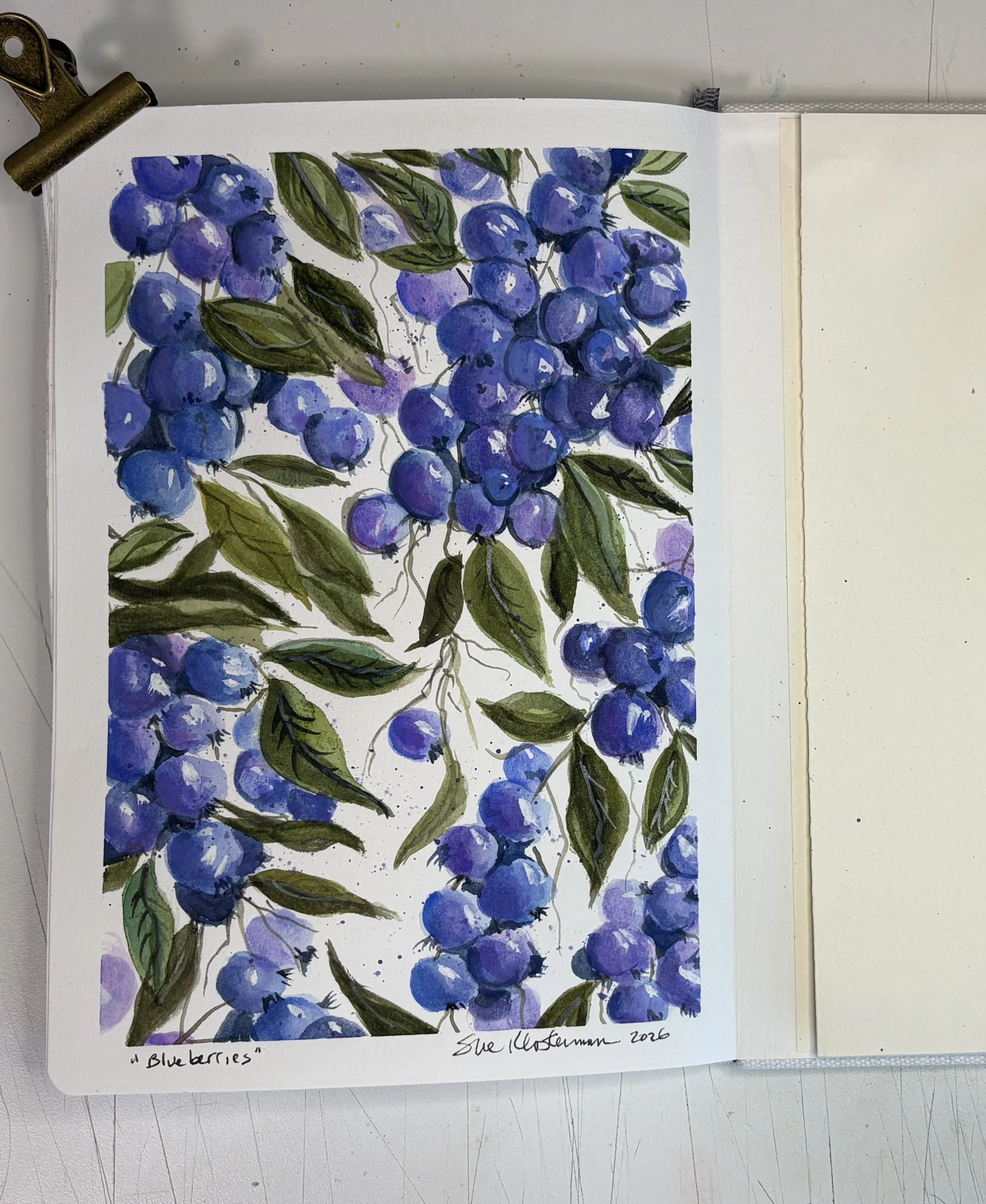Blueberries
