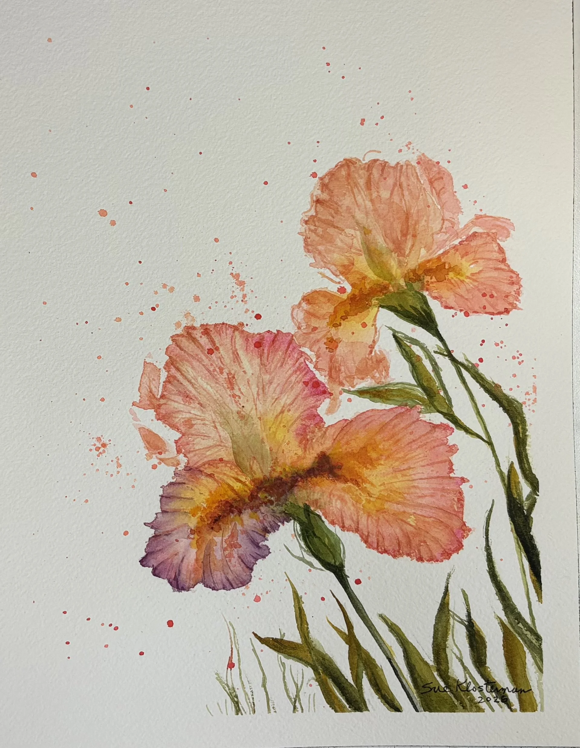 "Irises"
8 x 10 inches
