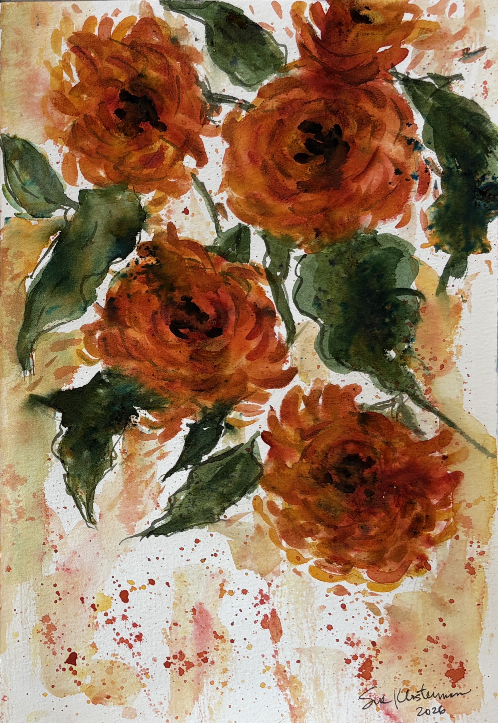 Fall mums
