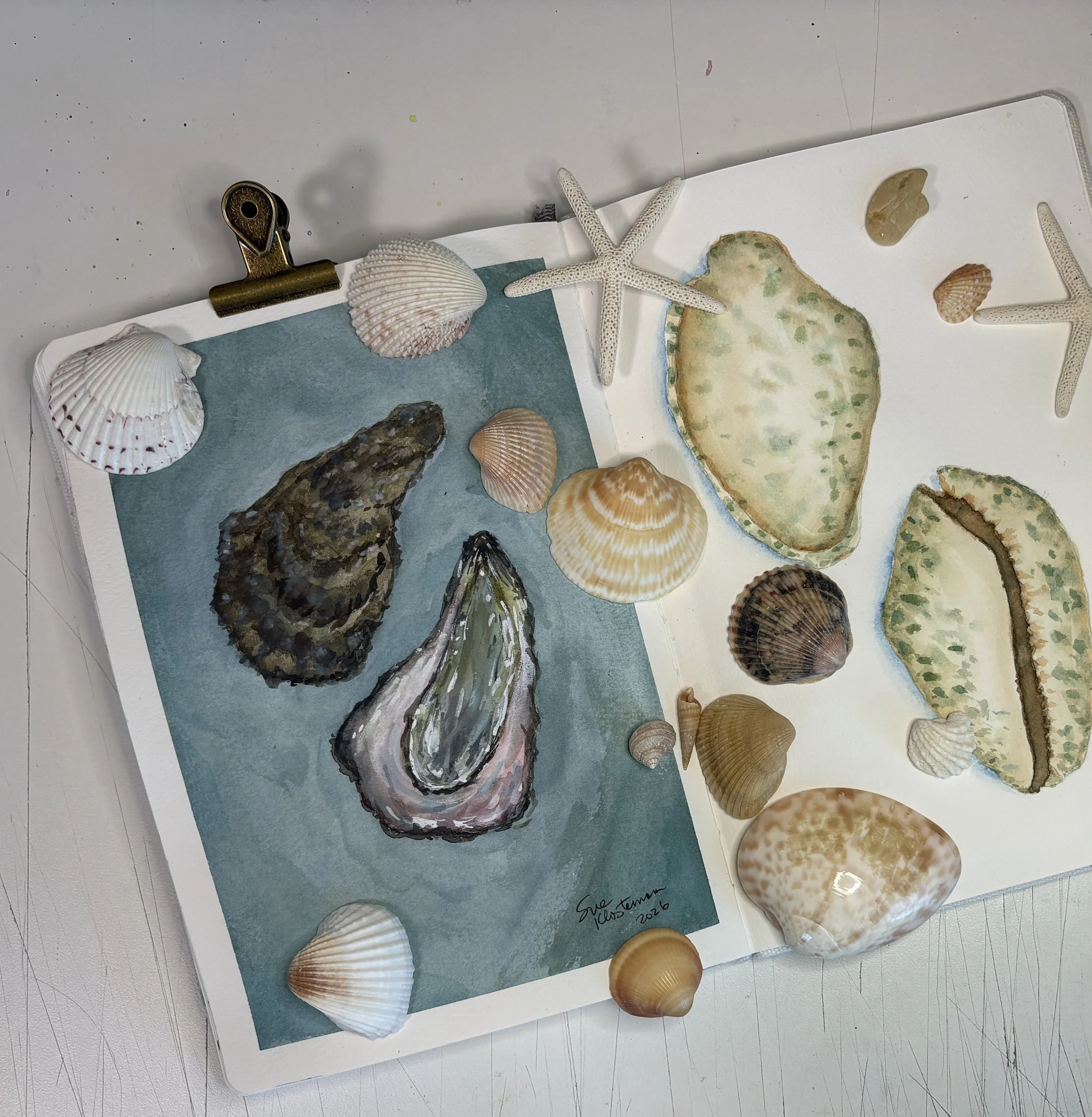 Oyster shells
