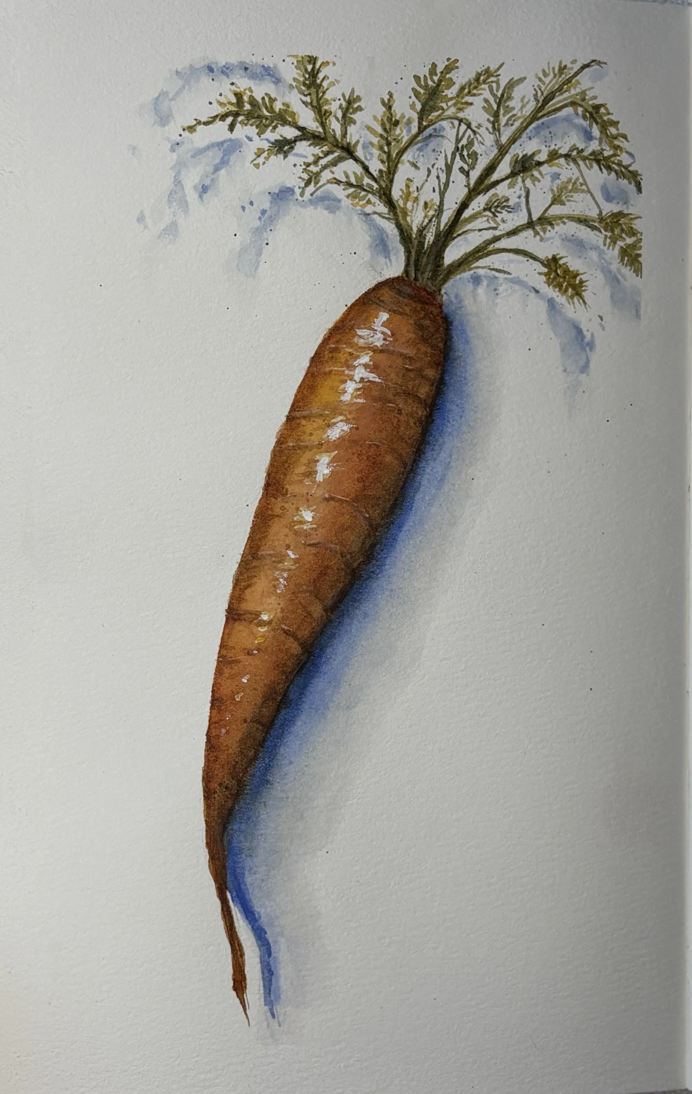 A realistic watercolor painting of a carrot with green leaves at the top, casting a shadow on a white background.
