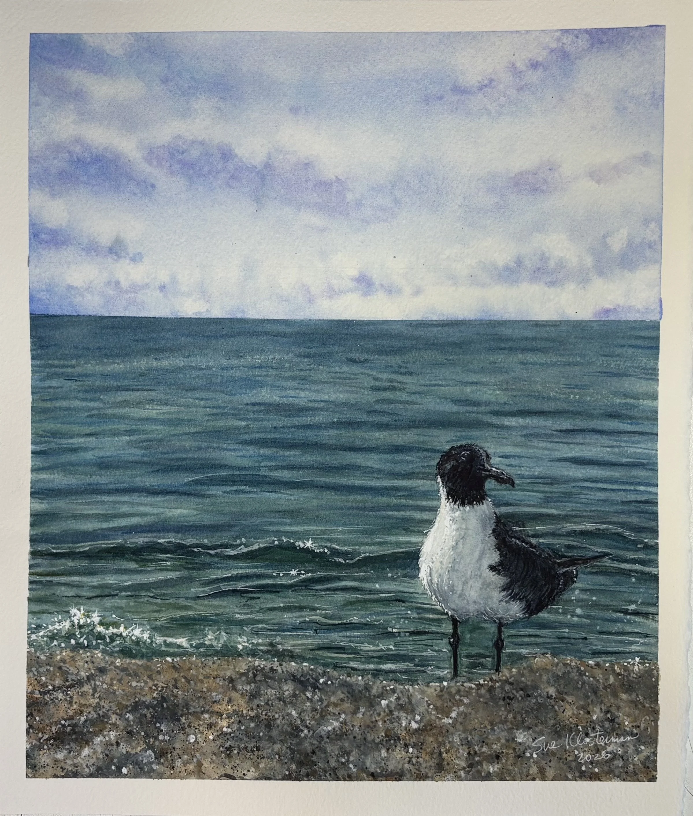 "Sebastian the Seagull"
image size 9" x 11" 