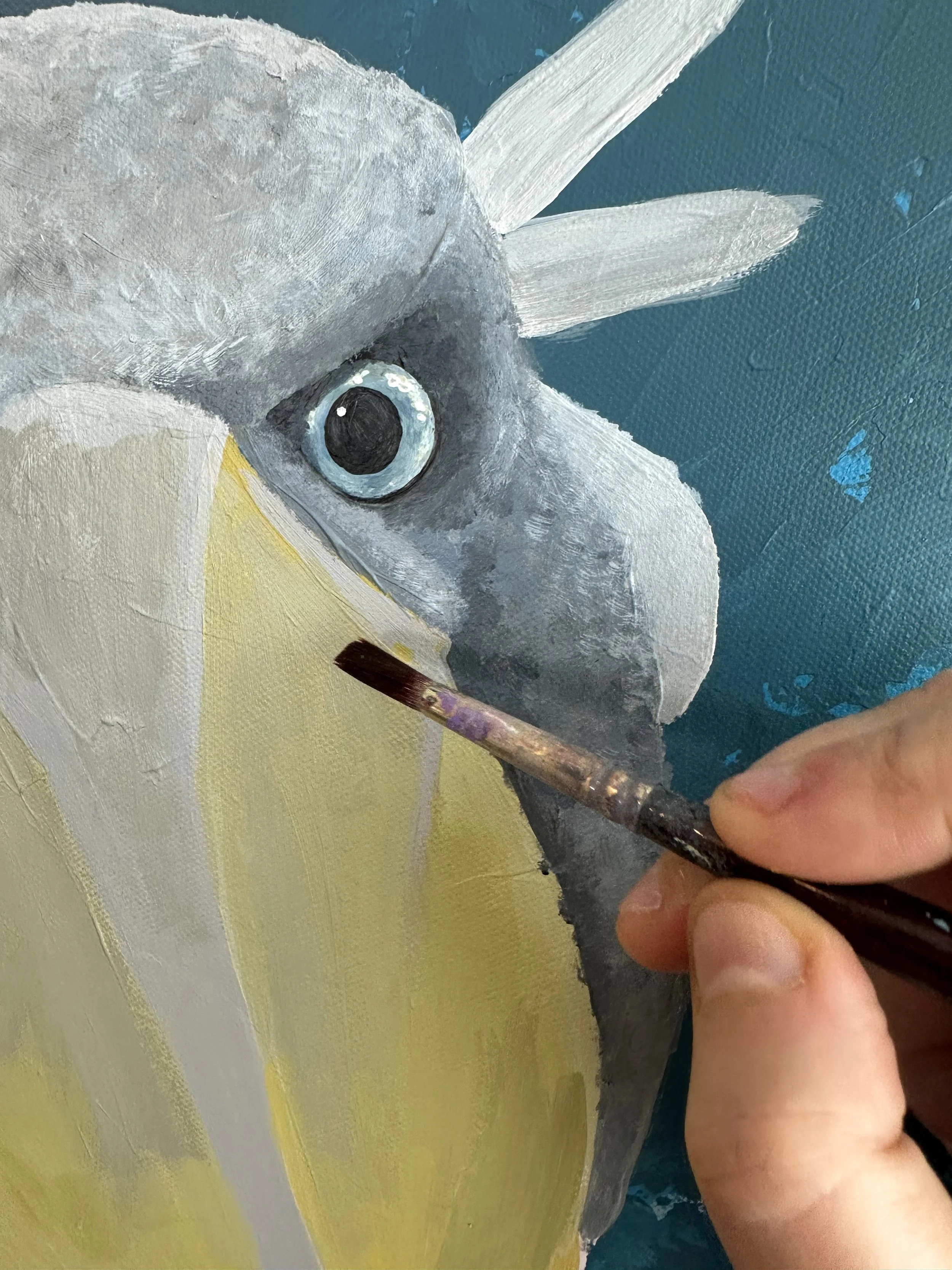 Ellie Morgan Art closeup of Shoebill Bird painting