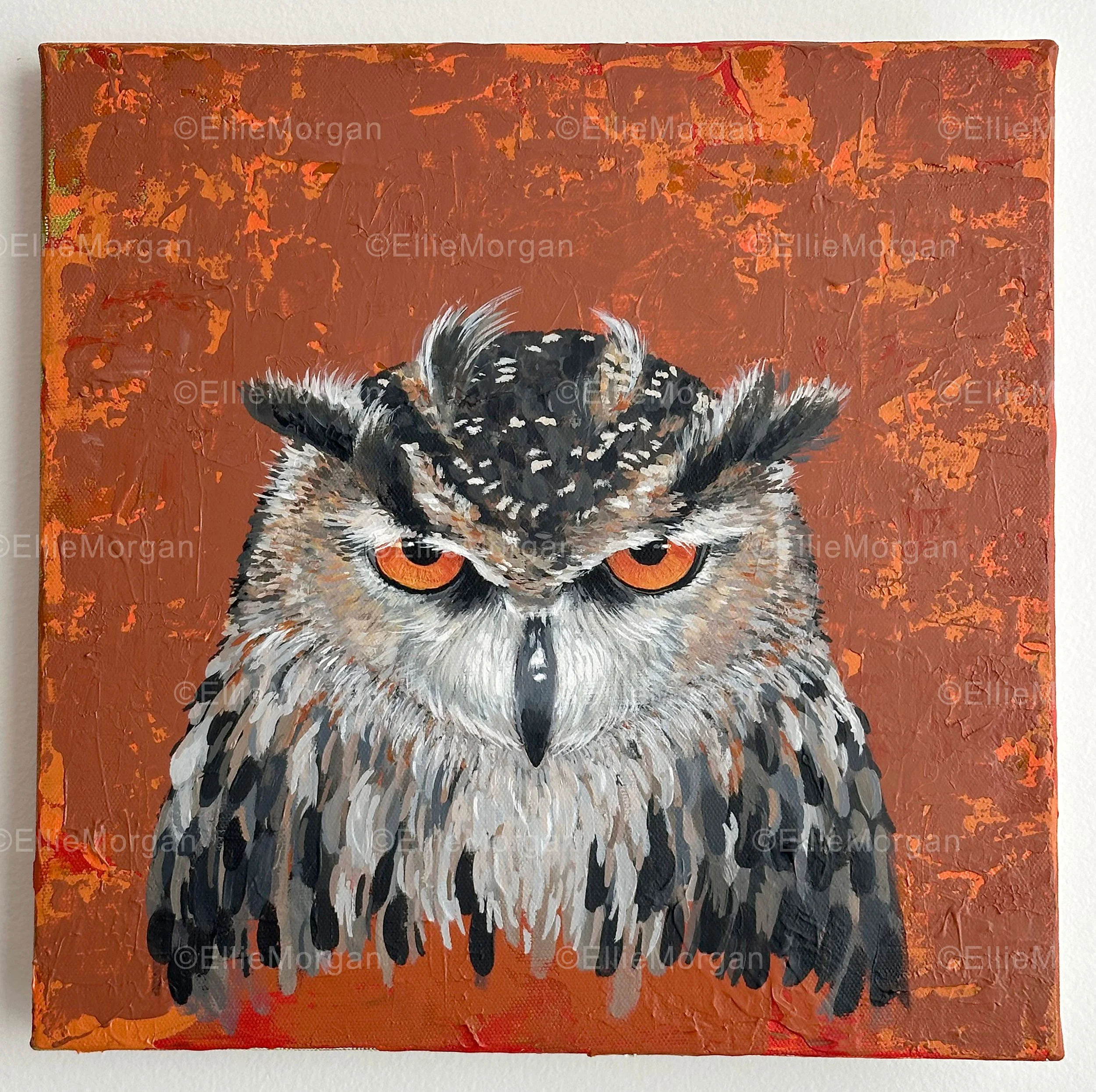 Watchful Owl