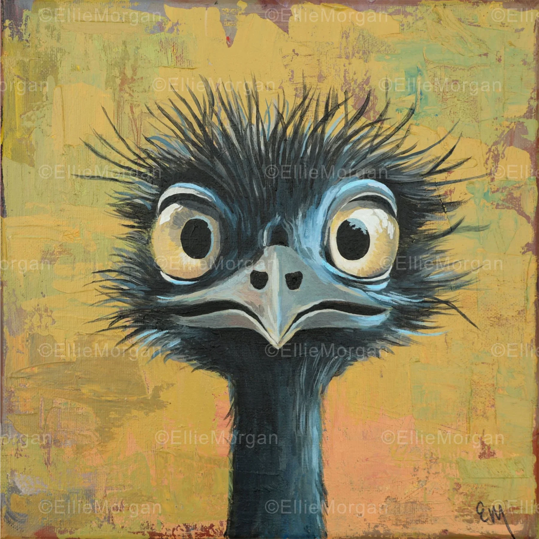 Emu Stare