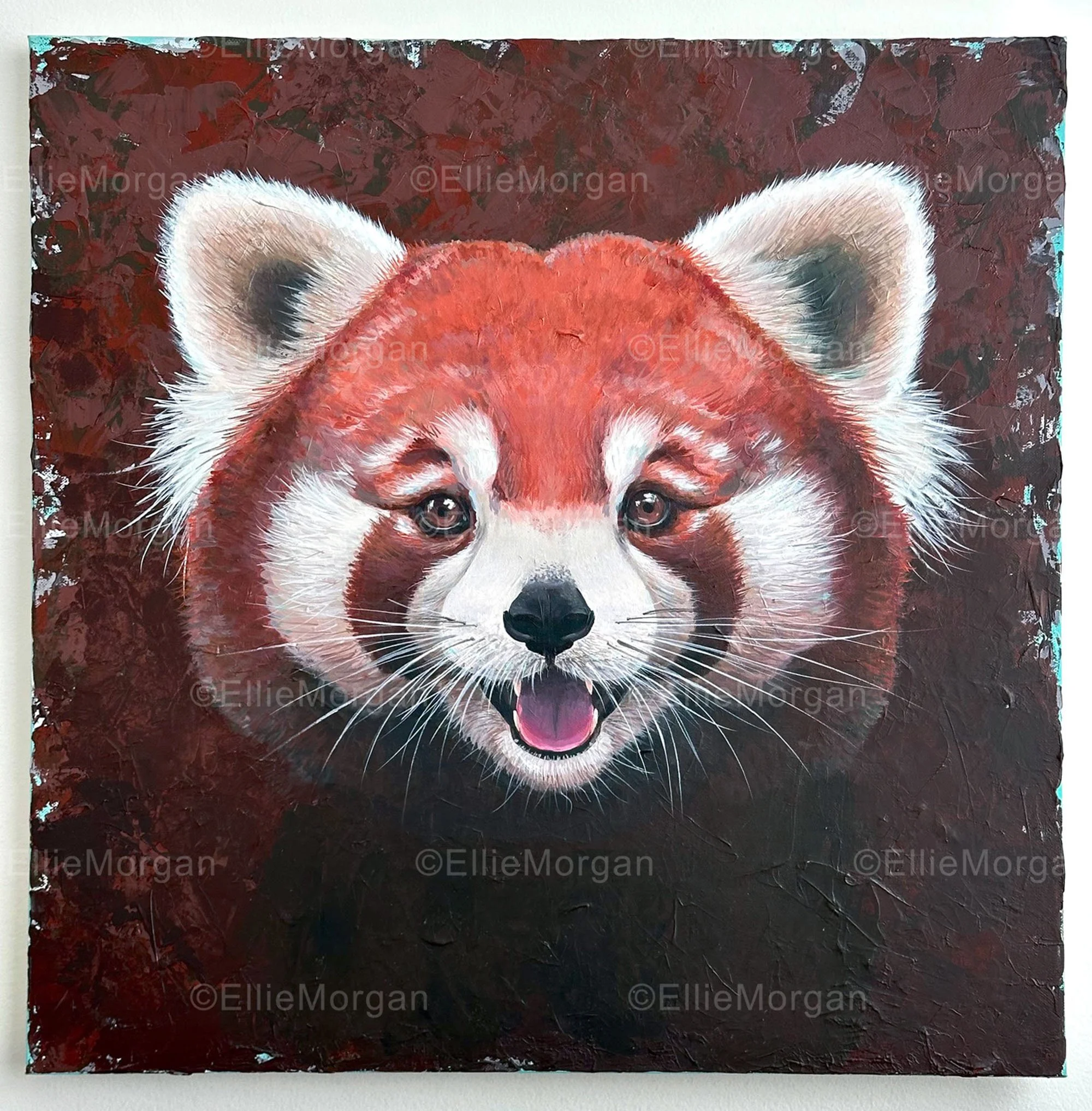 Expressive Red Panda