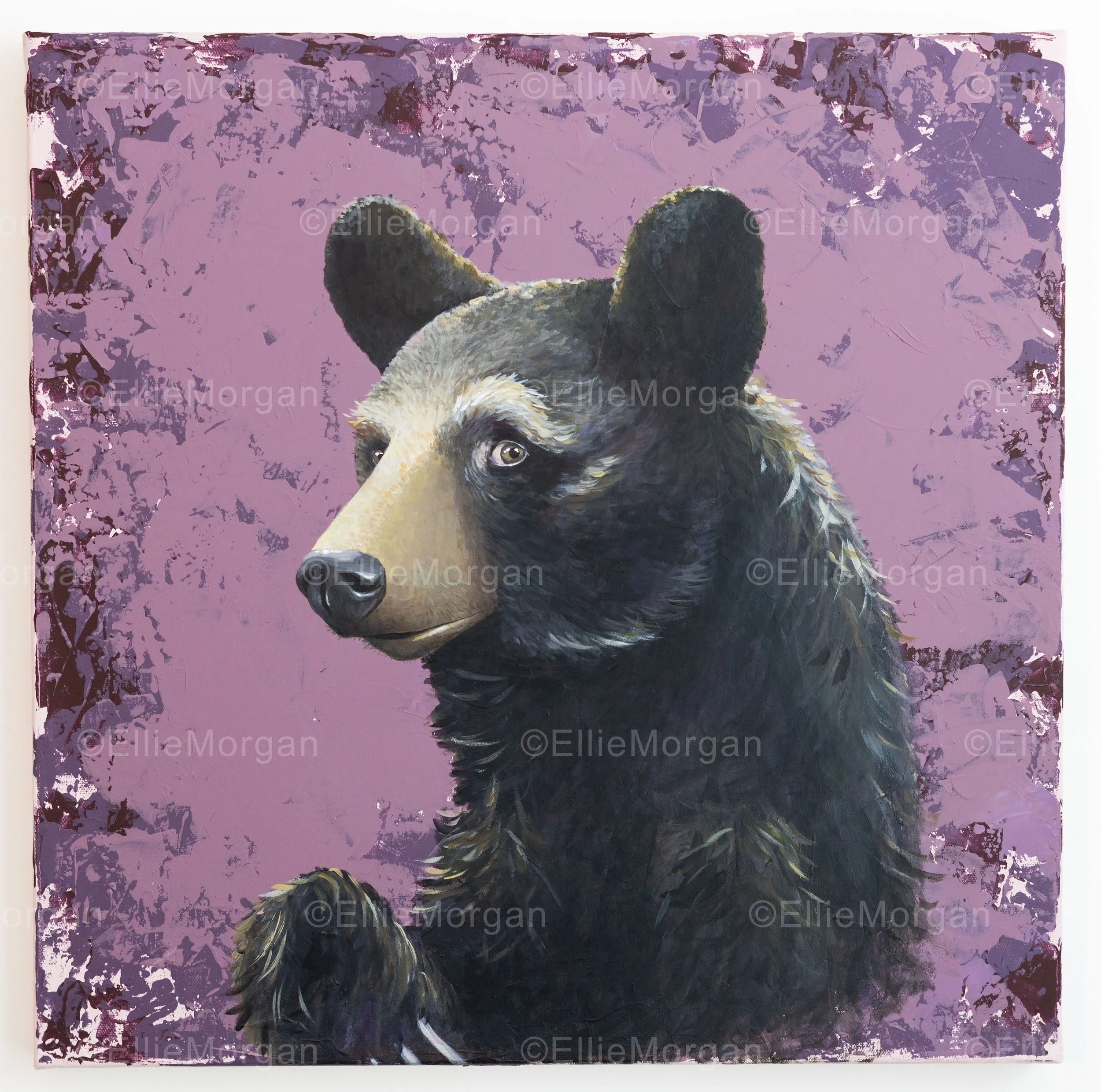 What the Heck Black Bear