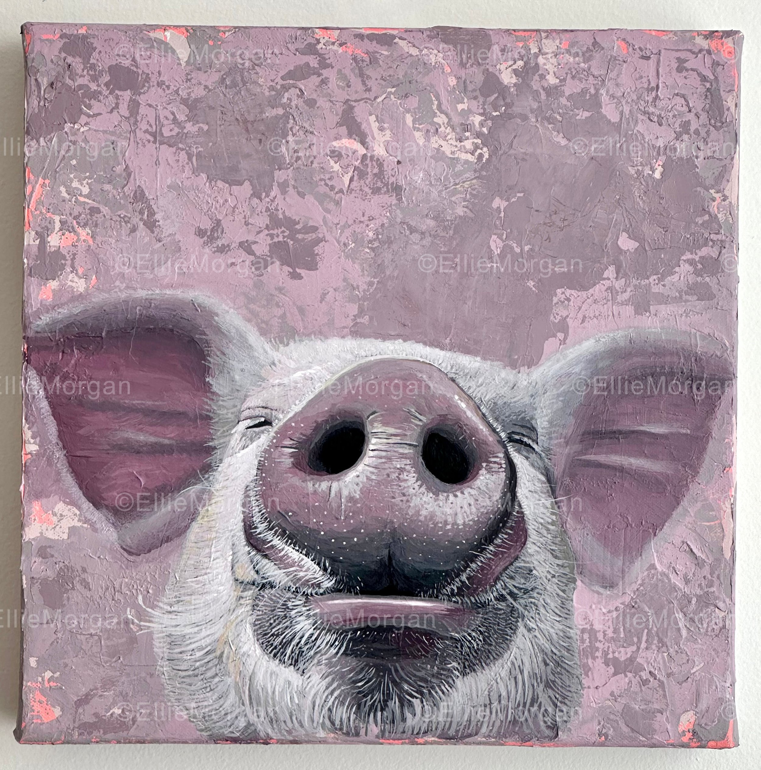Happy Little Pig