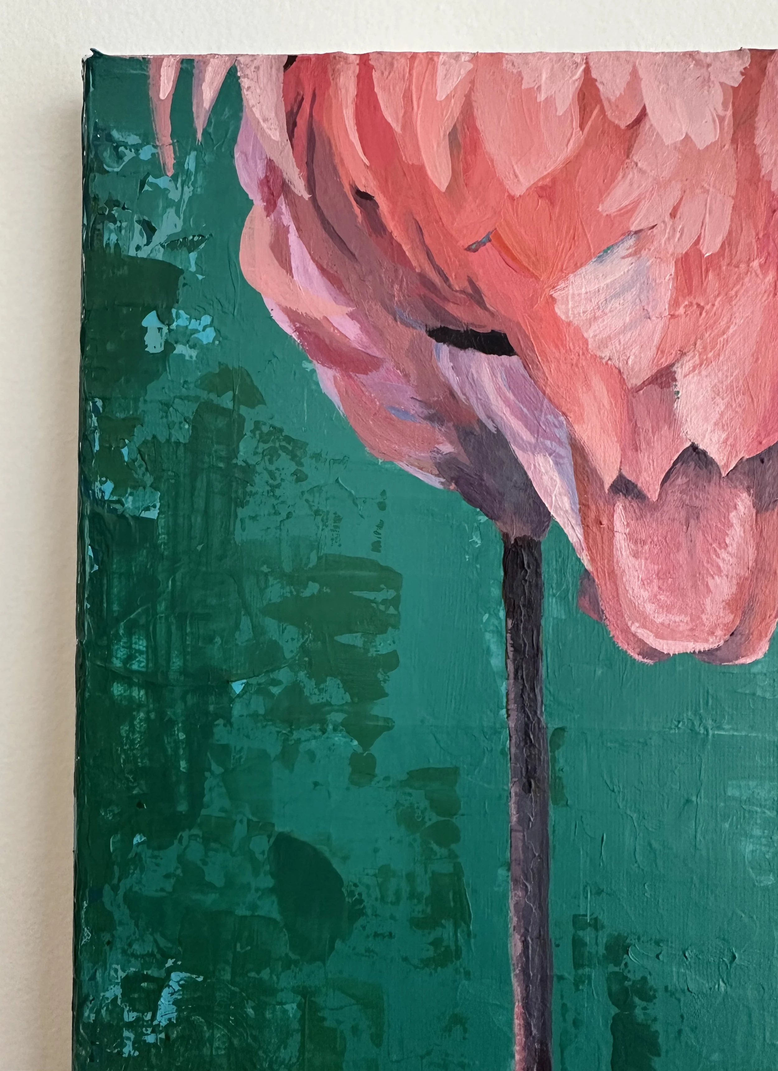 Flamingo_4378.jpeg