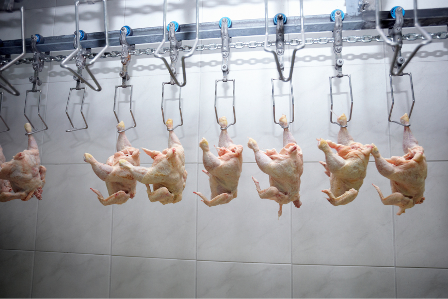 Partnering with SK8 Biotechnologies: A Collaborative Path to Pathogen Control