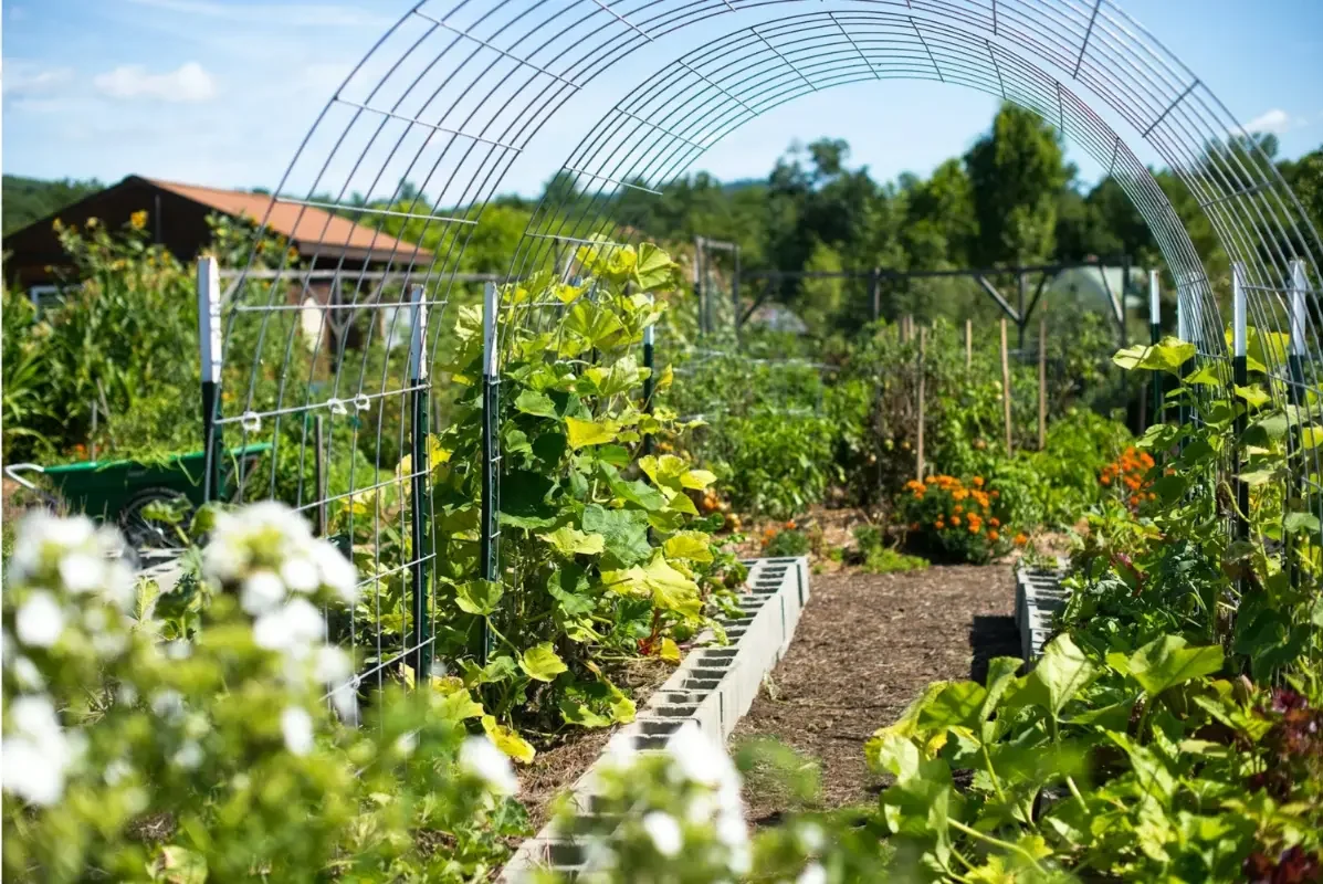 Garden-photo.webp
