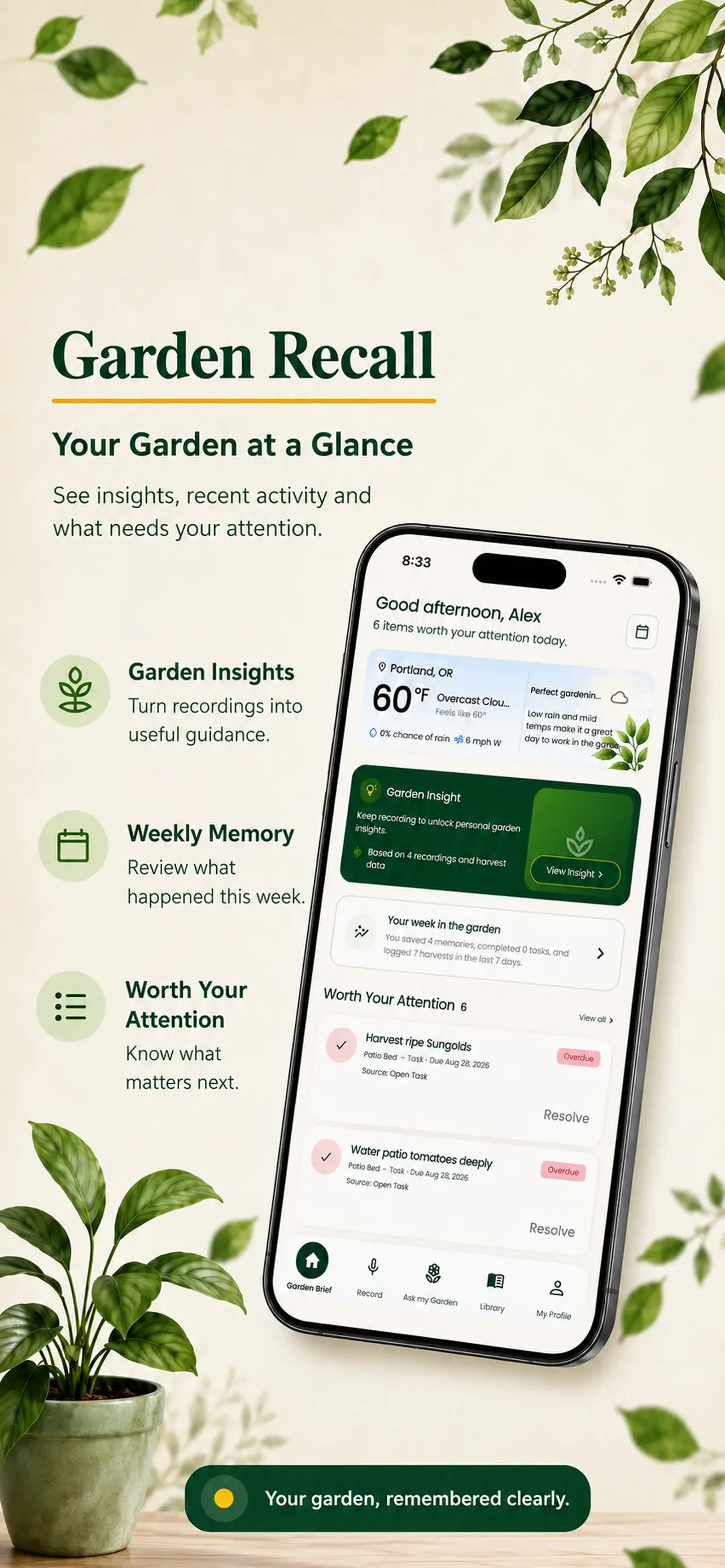 Garden_Brief.webp