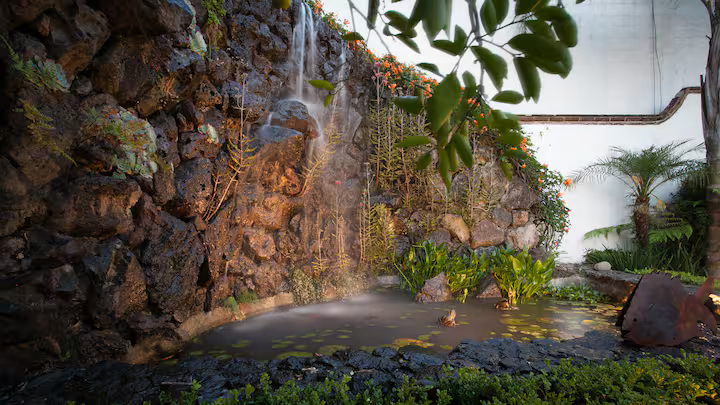 A small pond with water lilies, surrounded by rocks, plants, and a waterfall feature in a garden setting.