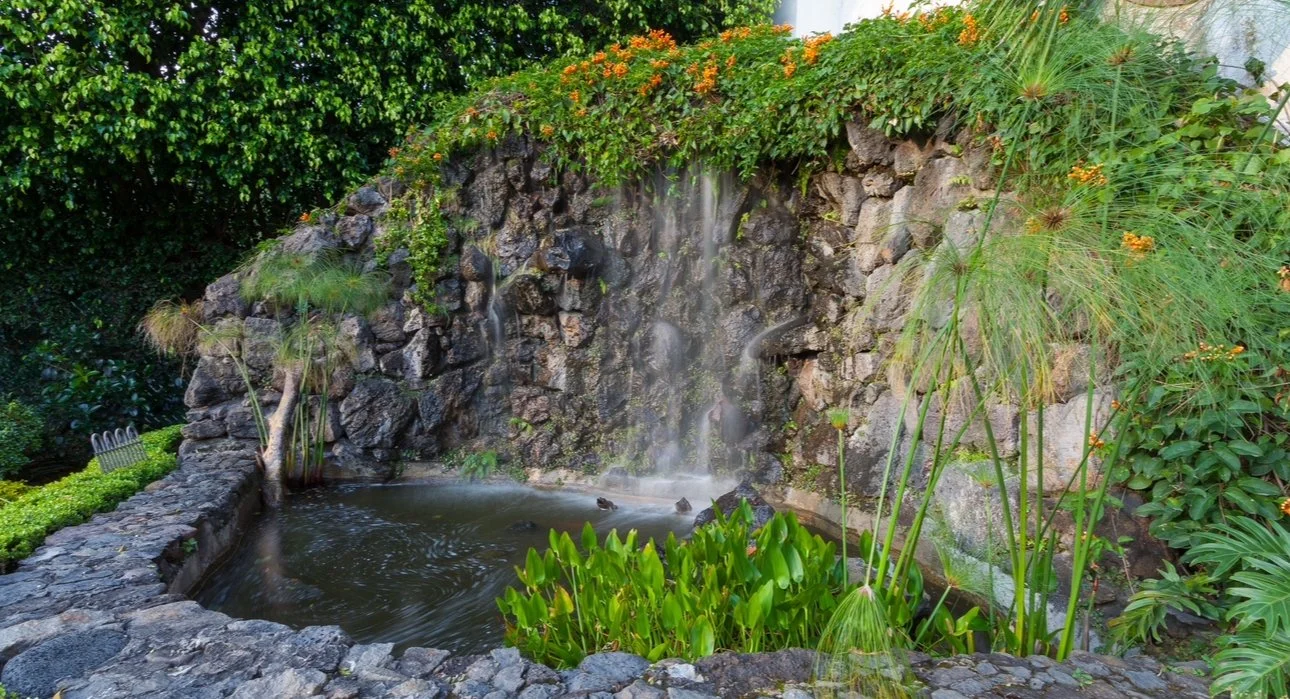 A small waterfall cascading into a pond surrounded by lush green plants and rocks in a garden.