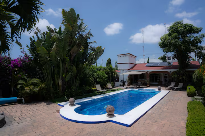 A backyard with a rectangular swimming pool surrounded by a brick patio, lush green trees, and a house with a red roof in the background.