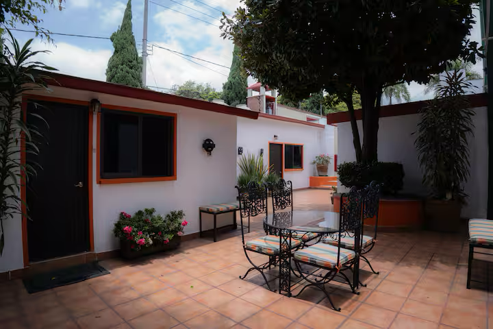 A backyard patio with a round glass table and four ornate metal chairs with striped cushions. There's a black door and two windows with black frames on a white wall, and various potted plants and shrubs surrounding the area. A large tree with dark le